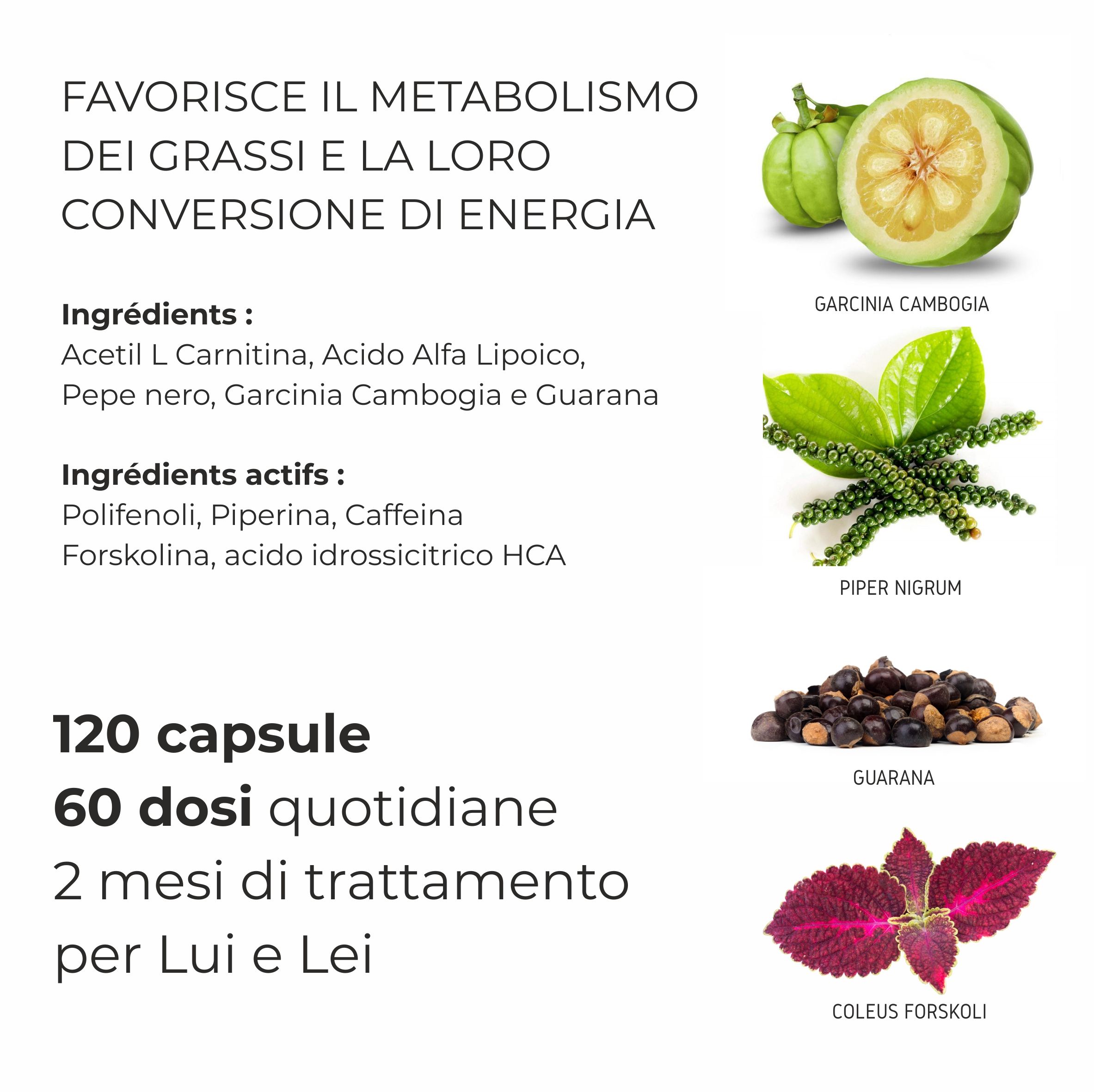Composizione degli ingredienti. Rappresentazioni: Garcinia, pepe, guaranà. Testo: 120 capsule, 60 dosi giornaliere.