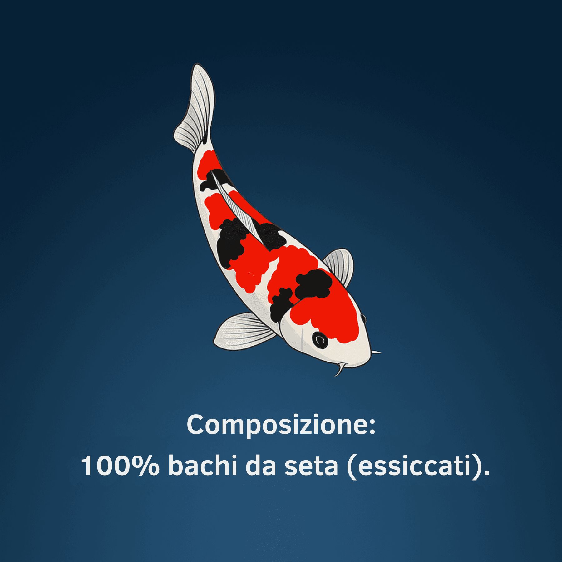 Illustrazione di un pesce koi su sfondo blu. Testo: Composizione: 100% bachi da seta (essiccati).