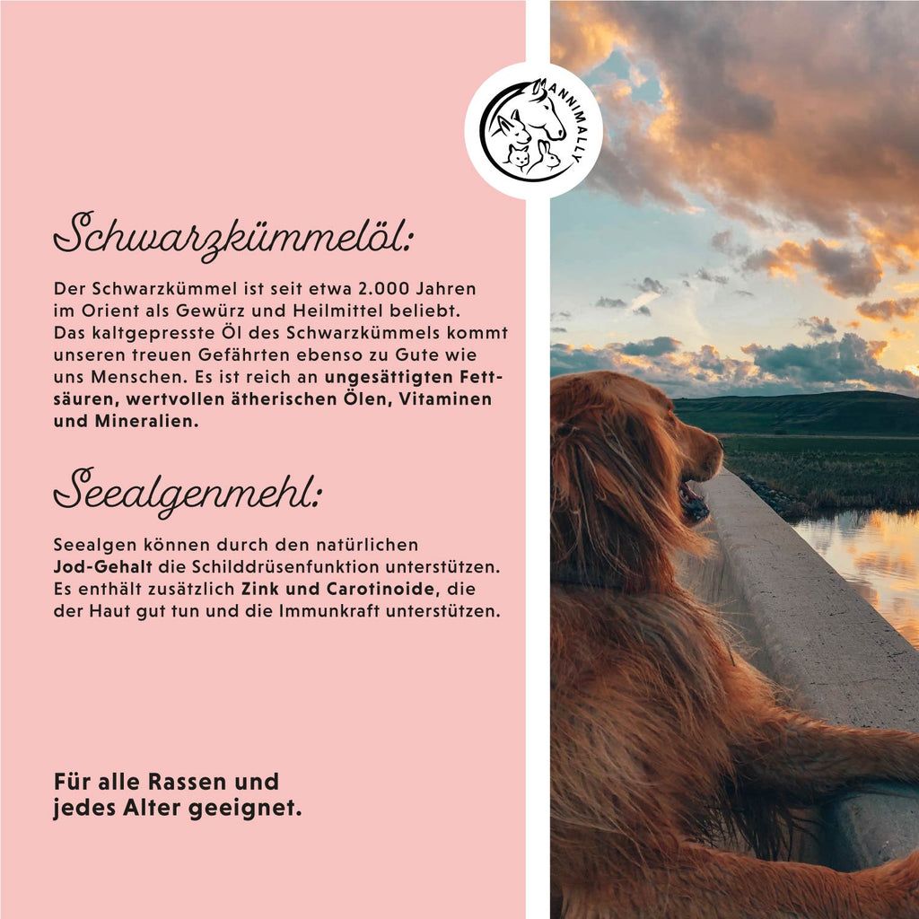 Sfondo rosa con testo. Logo: Annimally. Testo sull'olio di cumino nero e farina di alghe. Immagine: cane sull'acqua.