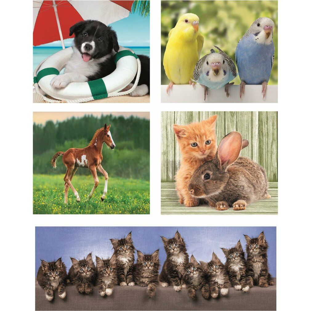 Cinque motivi di puzzle con animali: cane con salvagente, pappagalli, puledro, gatto e coniglio, gatti. Senza nome del prodotto.