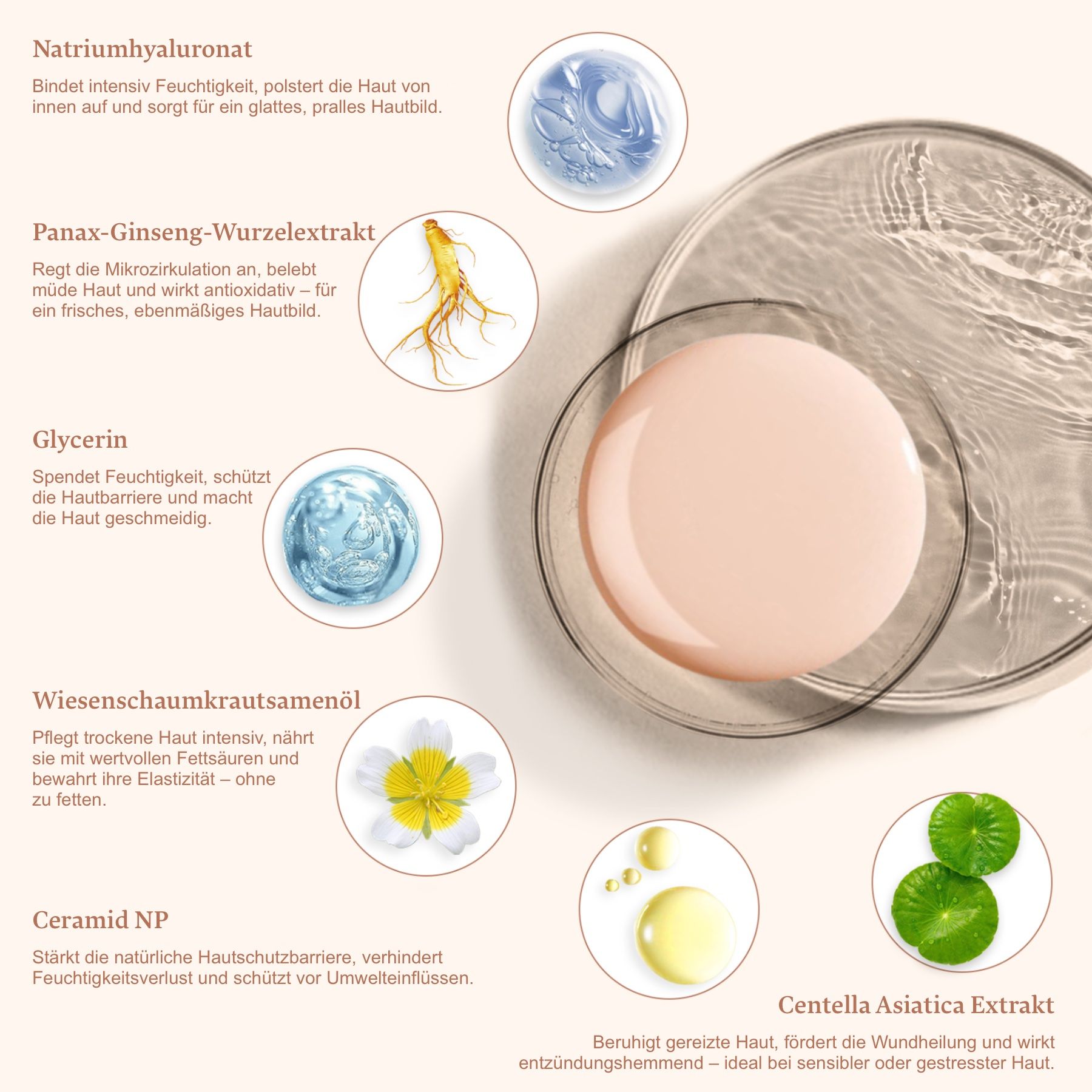 Sono illustrati vari ingredienti del prodotto, come acido ialuronico, estratto di ginseng, glicerina, ecc.