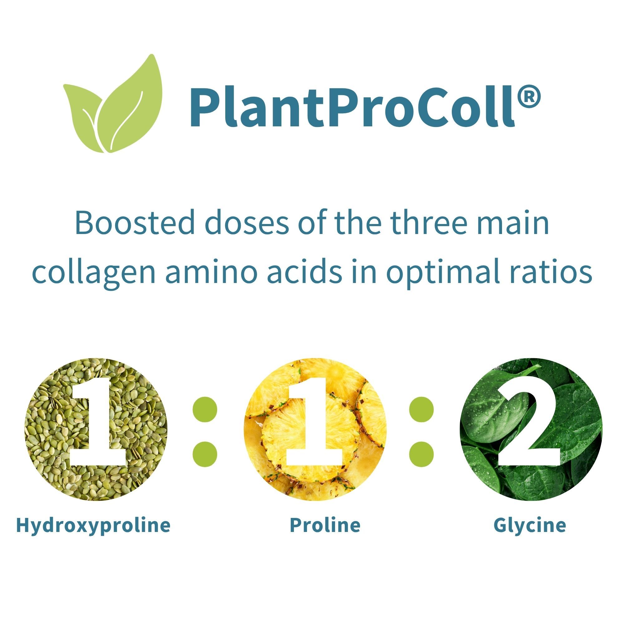 Rapporto tra idrossiprolina, prolina e glicina per la formazione di collagene.