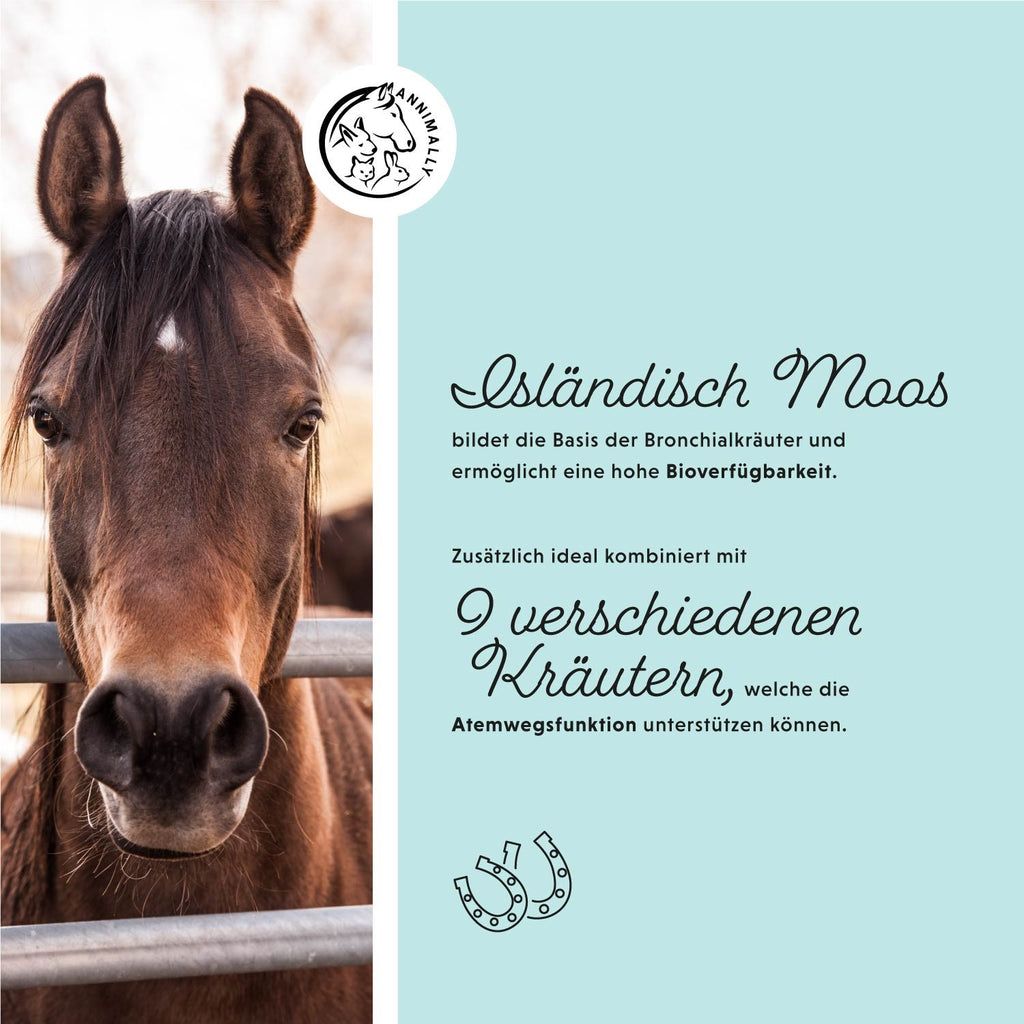 Testa di cavallo su sfondo blu. Testo: Muschio islandese, 9 erbe. Logo. Illustrazione di ferro di cavallo.