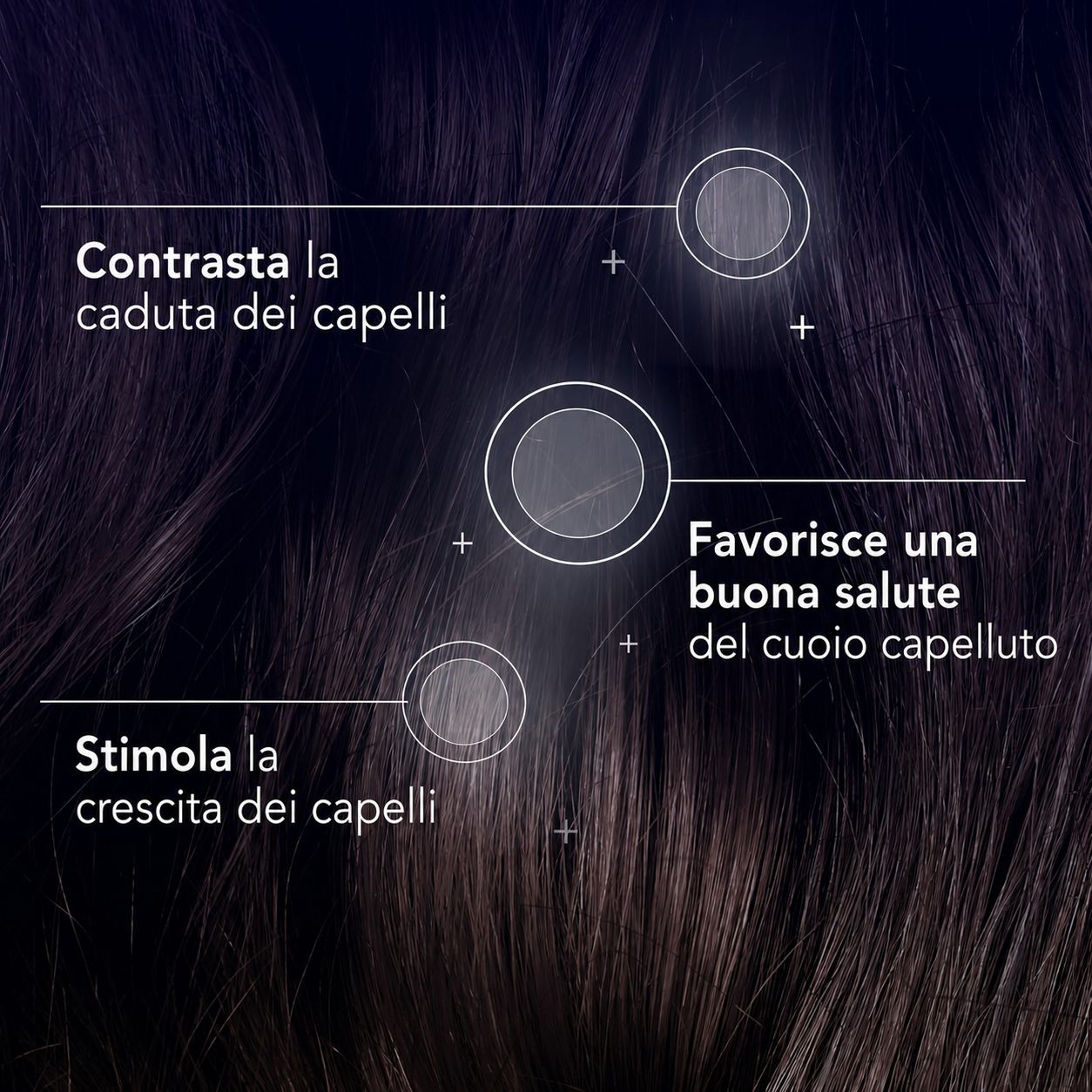 Arkopharma FORCAPIL Spray Anticaduta per Capelli