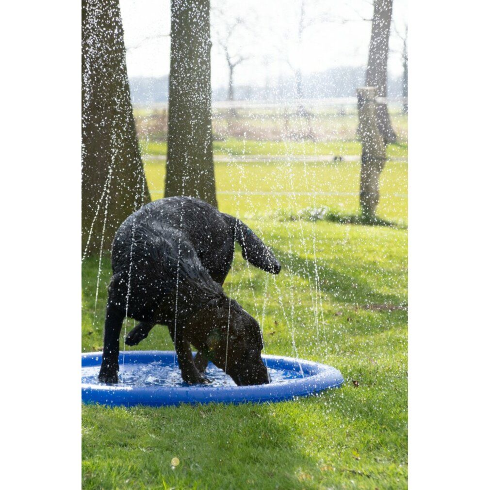 Piscina rotonda blu con getti d'acqua. Un cane nero è nella piscina e beve acqua. Alberi ed erba sullo sfondo.