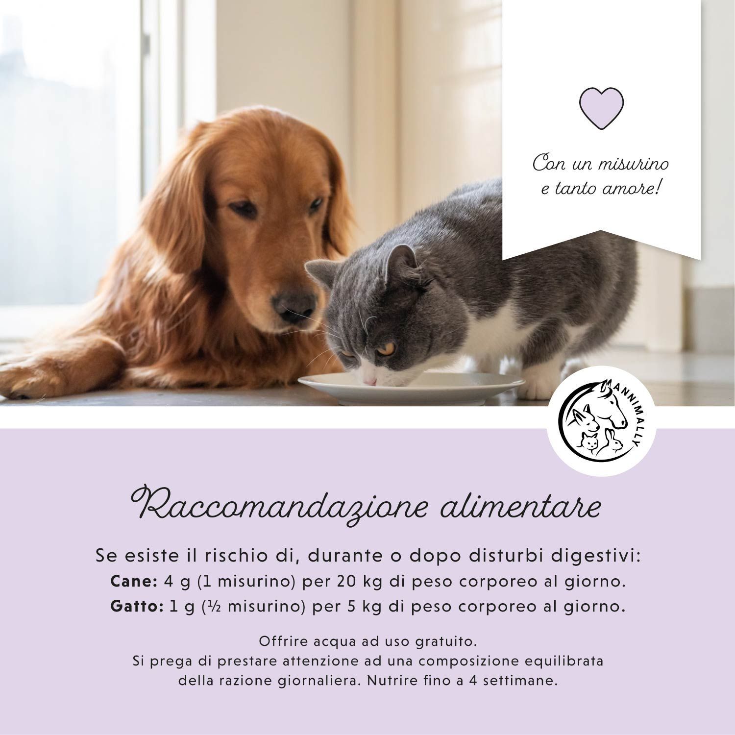 Raccomandazioni alimentari. Logo con cane, coniglio e cavallo. Testo: 4g per 20kg di peso corporeo. Cane e gatto alla ciotola.