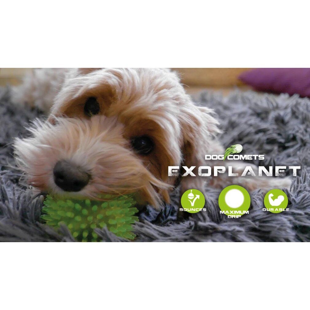 Cane con palla verde spinosa. Testo: DOG COMETS EXOPLANET. Simboli: Bounce, Maximum Grip, Durable.