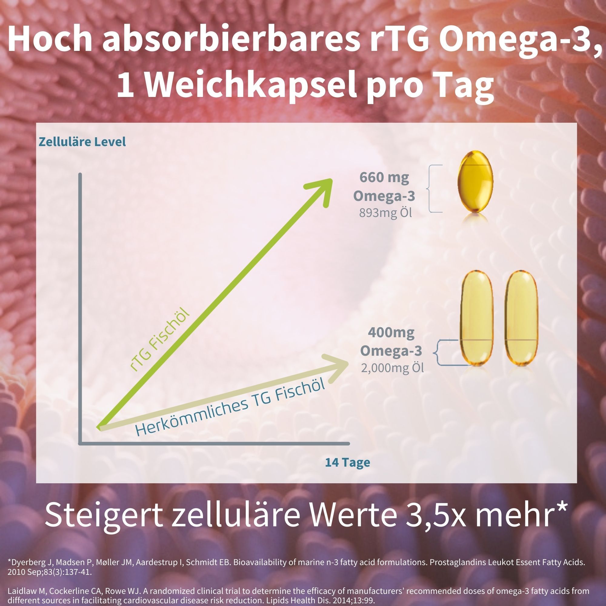 Grafico con olio di pesce rTG e olio di pesce TG convenzionale. 1 capsula al giorno. Aumenta i valori cellulari di 3,5 volte.