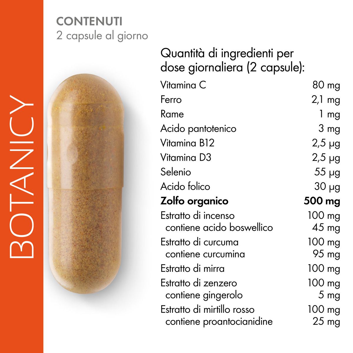Tabella nutrizionale. 2 capsule al giorno. Ingredienti: Vitamina C, ferro, rame, acido pantotenico, vitamina B12, D3, selenio, acido folico, zolfo organico.