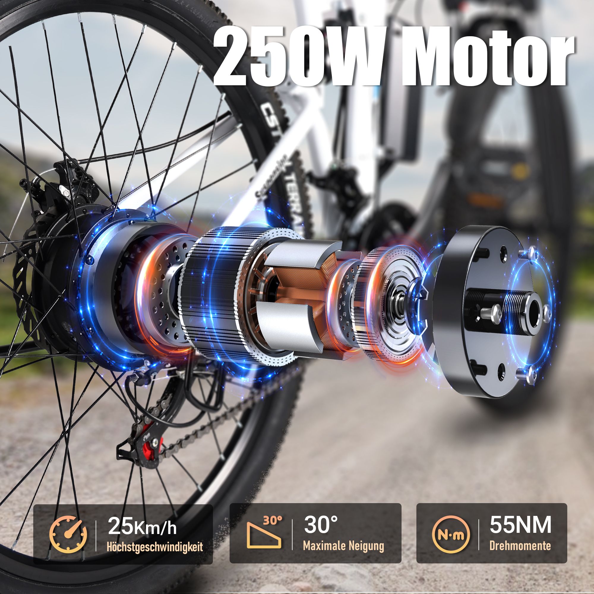 Motore e-bike da 250W. Velocità massima 25 km/h, inclinazione massima 30° e coppia 55NM.