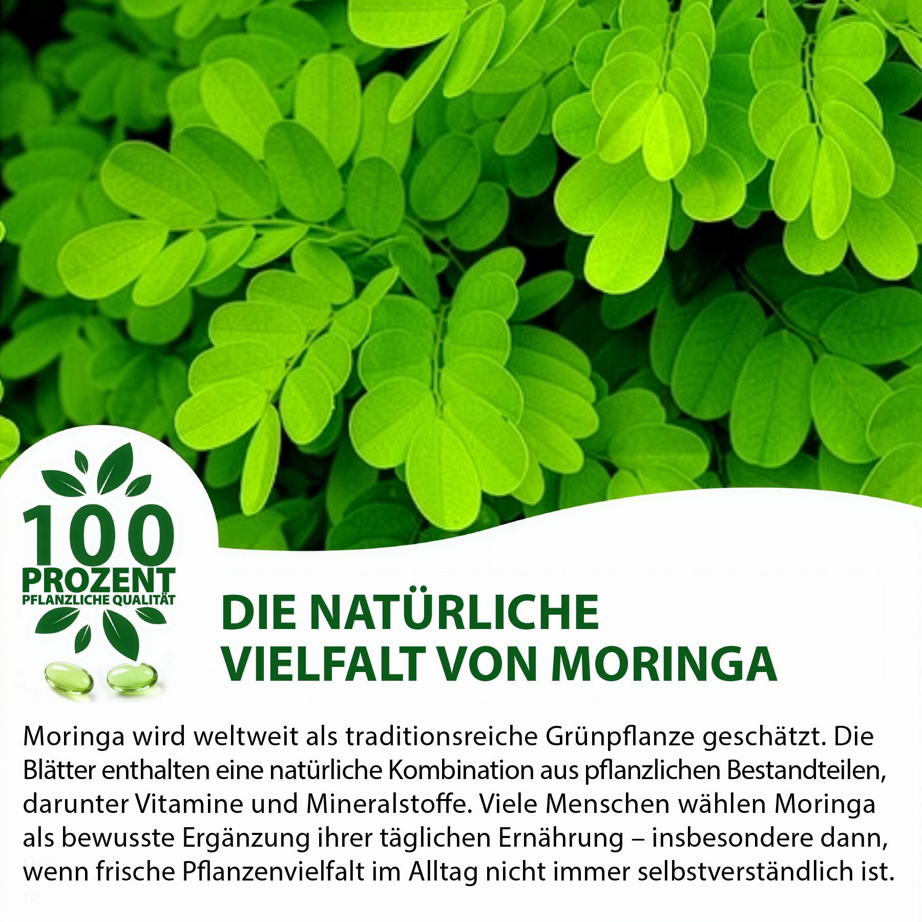 Foglie verdi. Testo: La naturale varietà di Moringa. Testo: 100% qualità vegetale. Due capsule verdi.