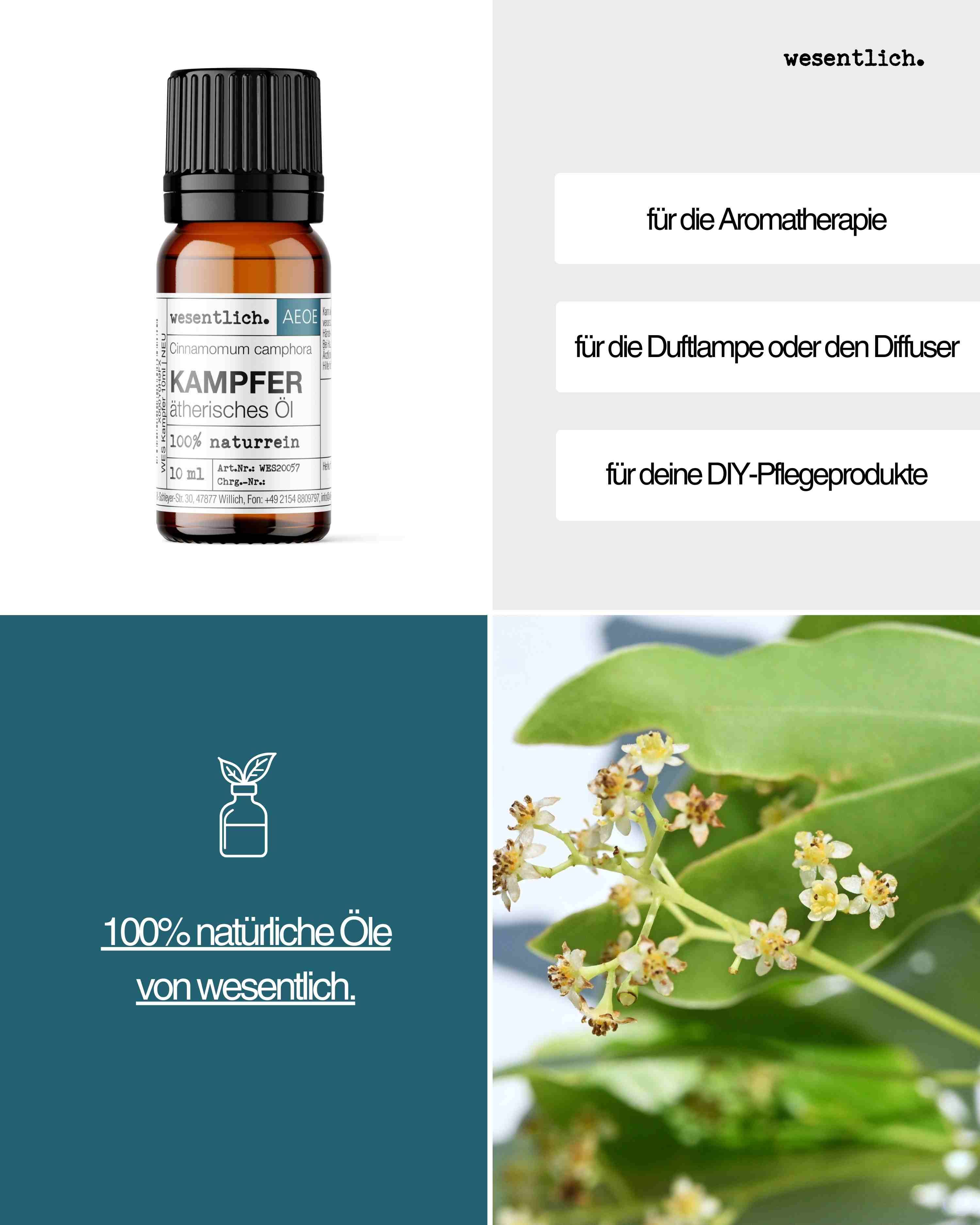 Flacone di olio di canfora e istruzioni per l'uso: aromaterapia, diffusore, prodotti per la cura fai-da-te.