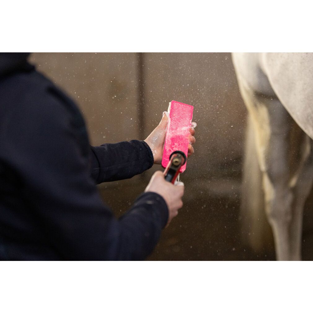 Spazzola per cavalli eccellente, nera media