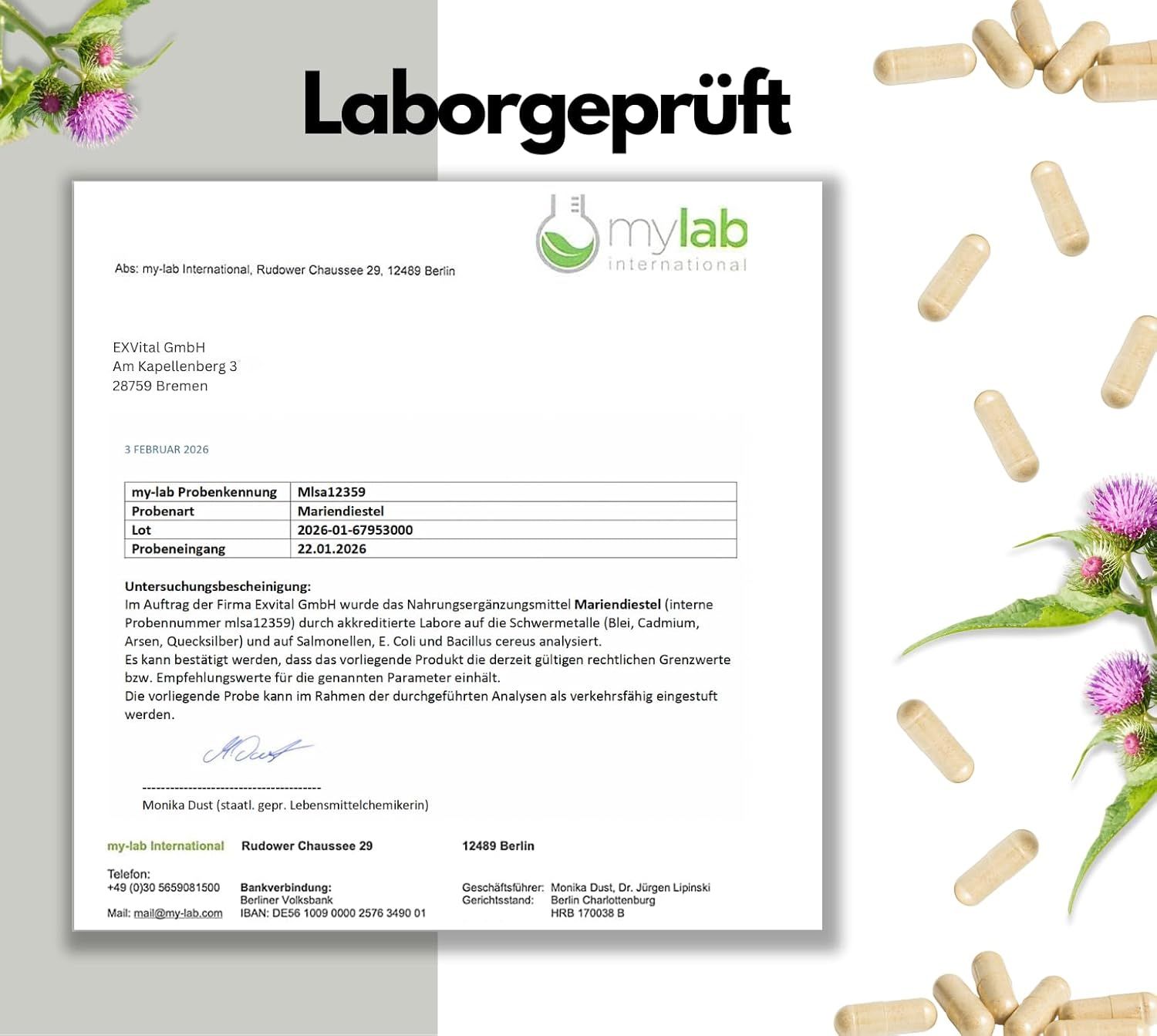 Documento testato in laboratorio. Cardo mariano. mylab International. Capsule e fiori di cardo mariano sullo sfondo.