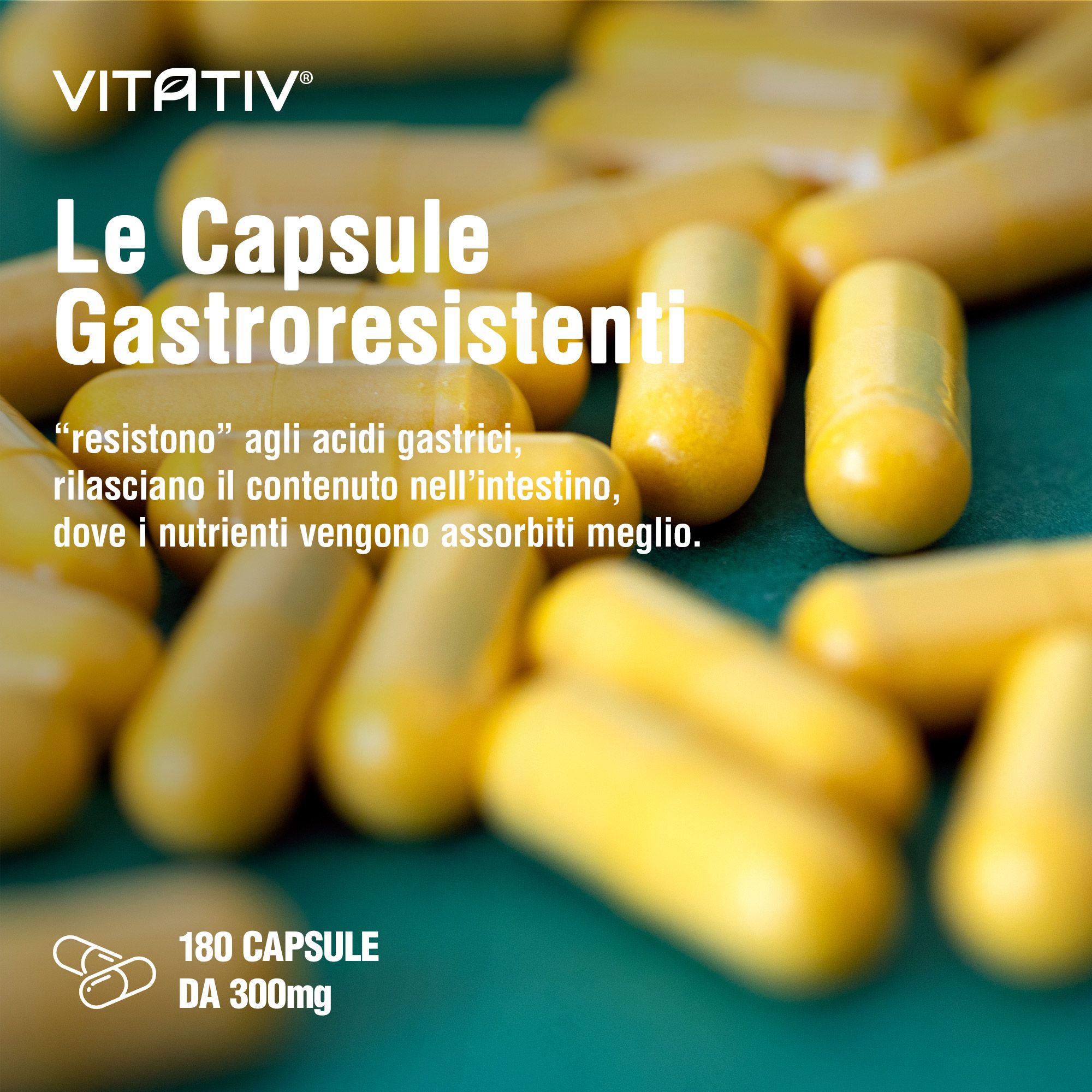 VITATIV® Berberina da Berberis Aristata in 180 Capsule Gastroresistenti da 300mg, HCl Alta Purezza