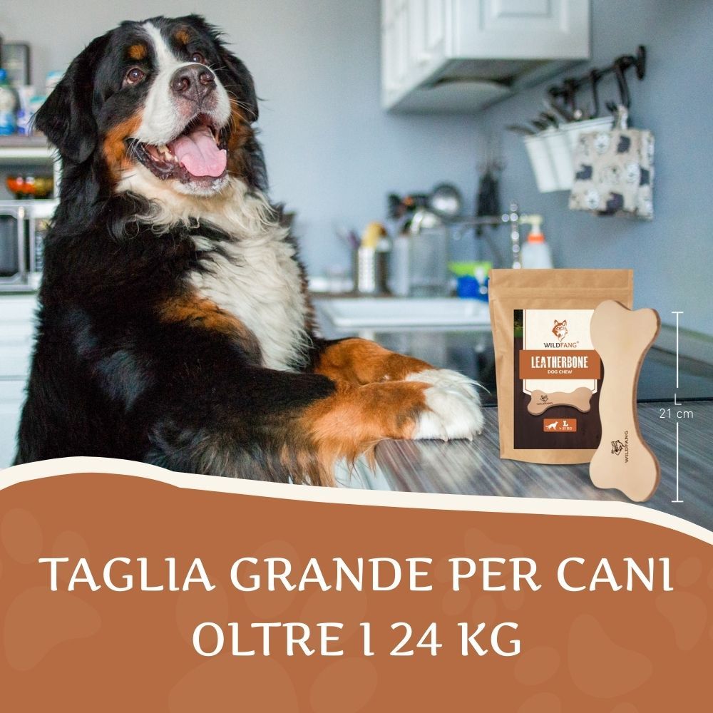 Un osso di pelle e una confezione sono su una superficie. Un cane è accanto. Testo: Taglia grande per cani, oltre 24 kg.