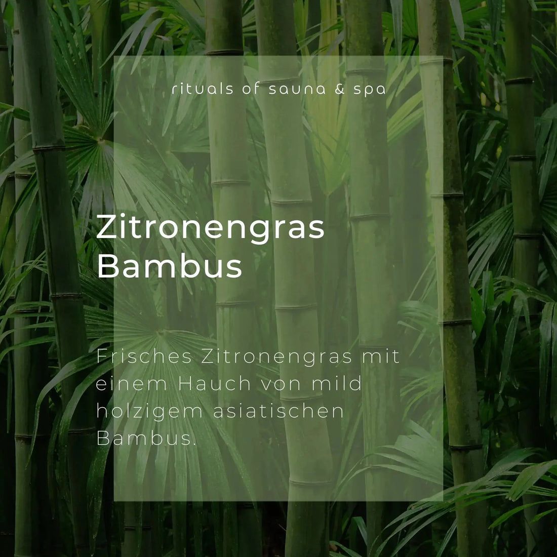 Zitronengras Bambus. Testo su sfondo verde con bambù. Citronella fresca con aroma legnoso di bambù.