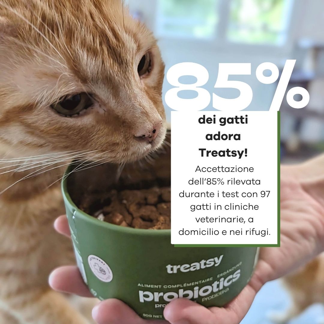 Donna tiene in braccio un gatto. Logo giallo: "Raccomandato dai veterinari". Testo.