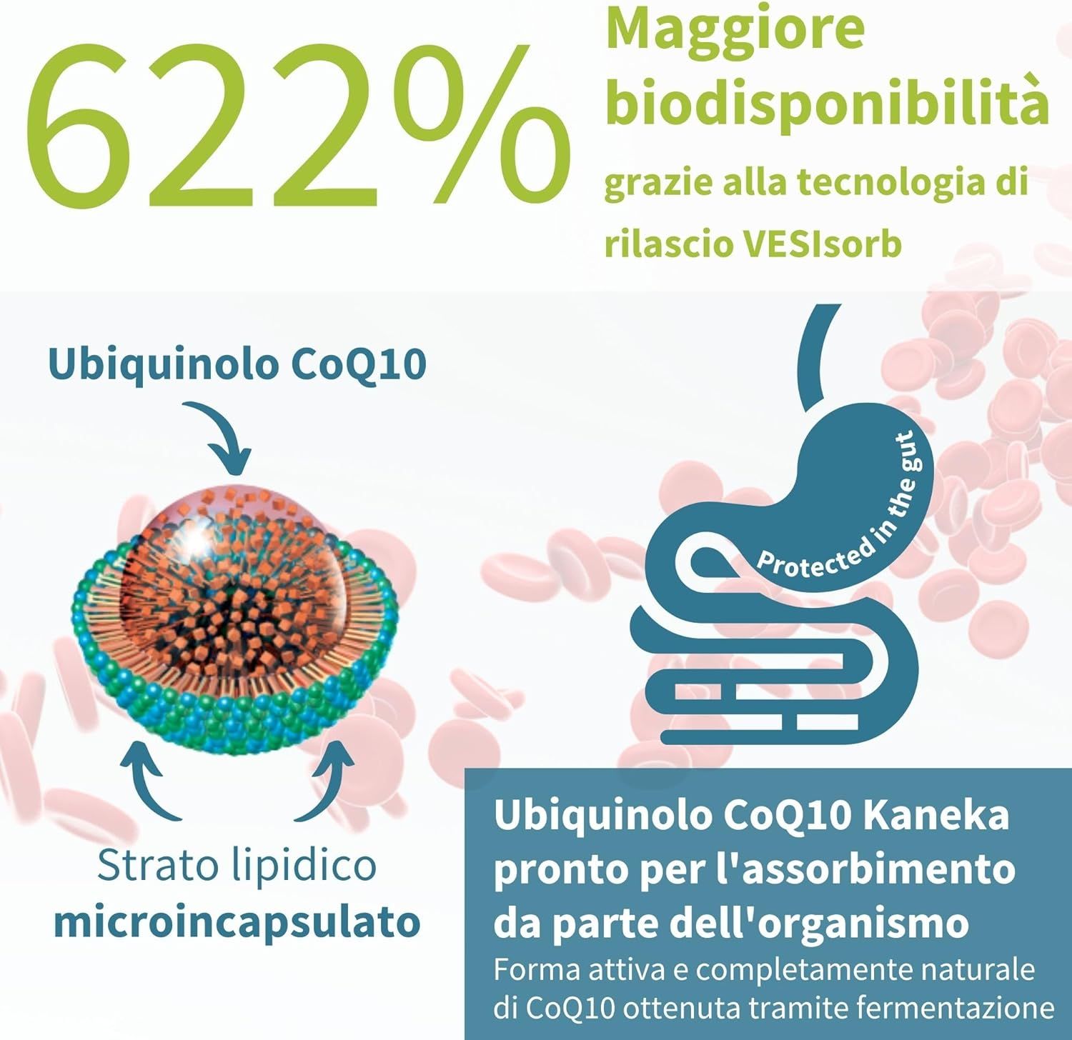 Grafico che mostra il miglior assorbimento di Kaneka VESIsorb Ubiquinol Q10.