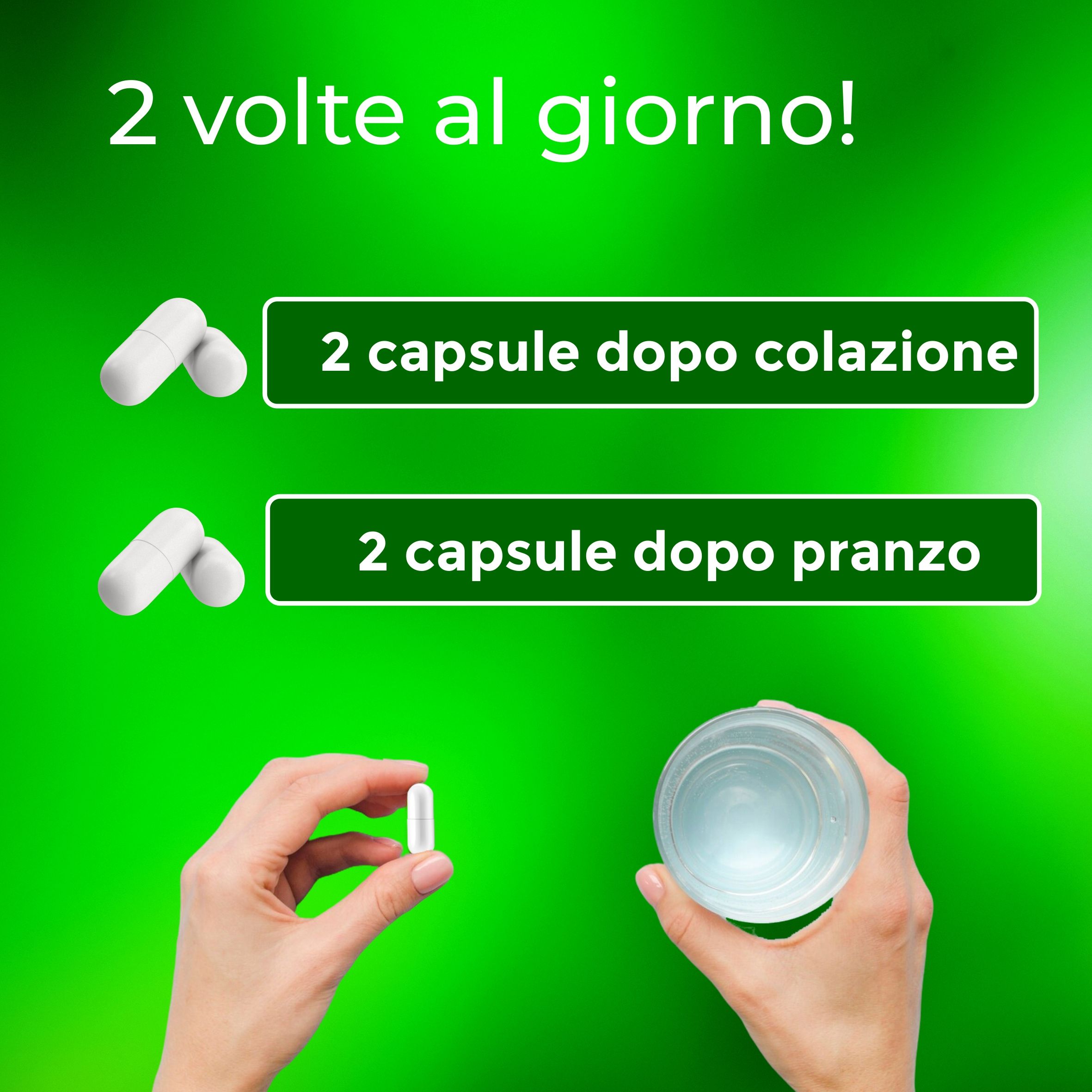 Mani con capsule e contenitore. Testo: 2 capsule dopo colazione, 2 dopo pranzo.