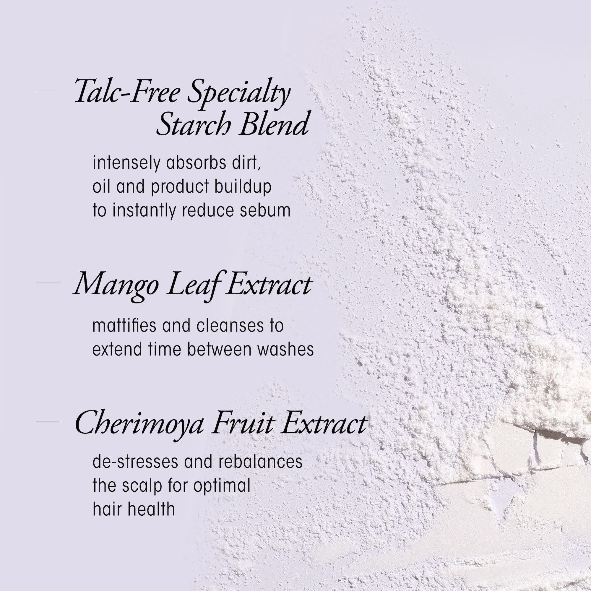 Estratti di testo: Talc-Free Specialty Starch Blend, Mango Leaf Extract, Cherimoya Fruit Extract. Su sfondo chiaro.