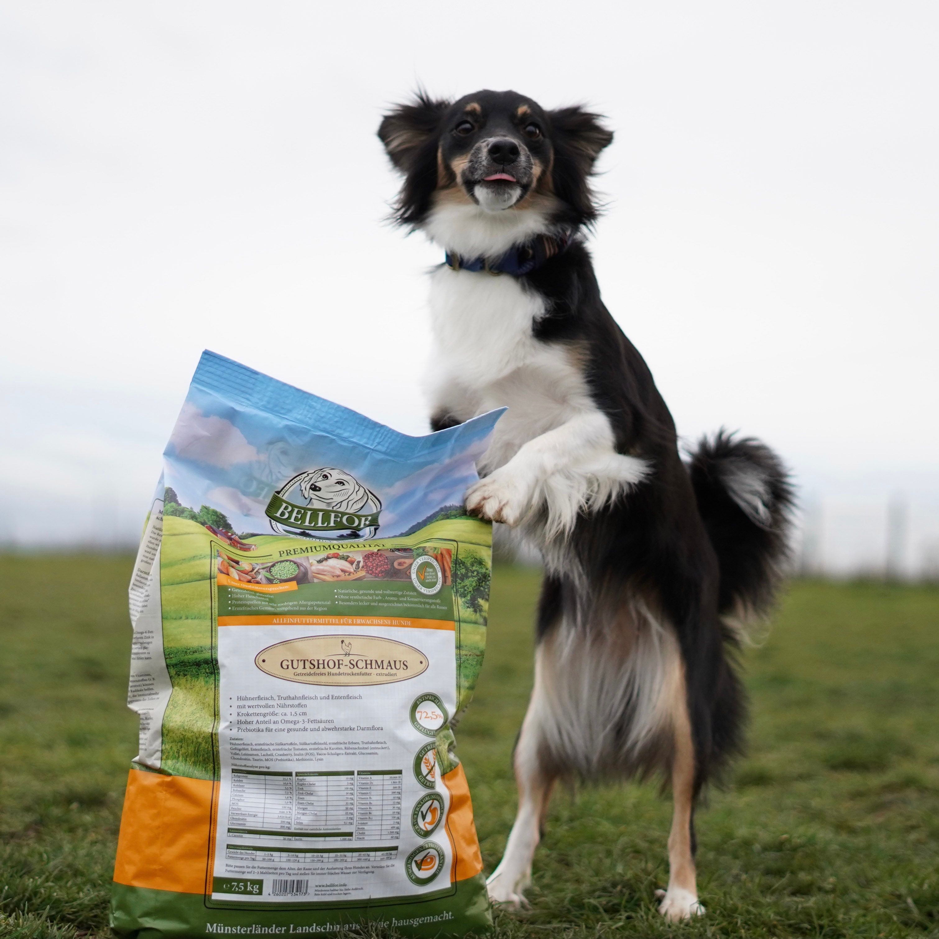 Bellfor Cibo secco per cani con pollo
