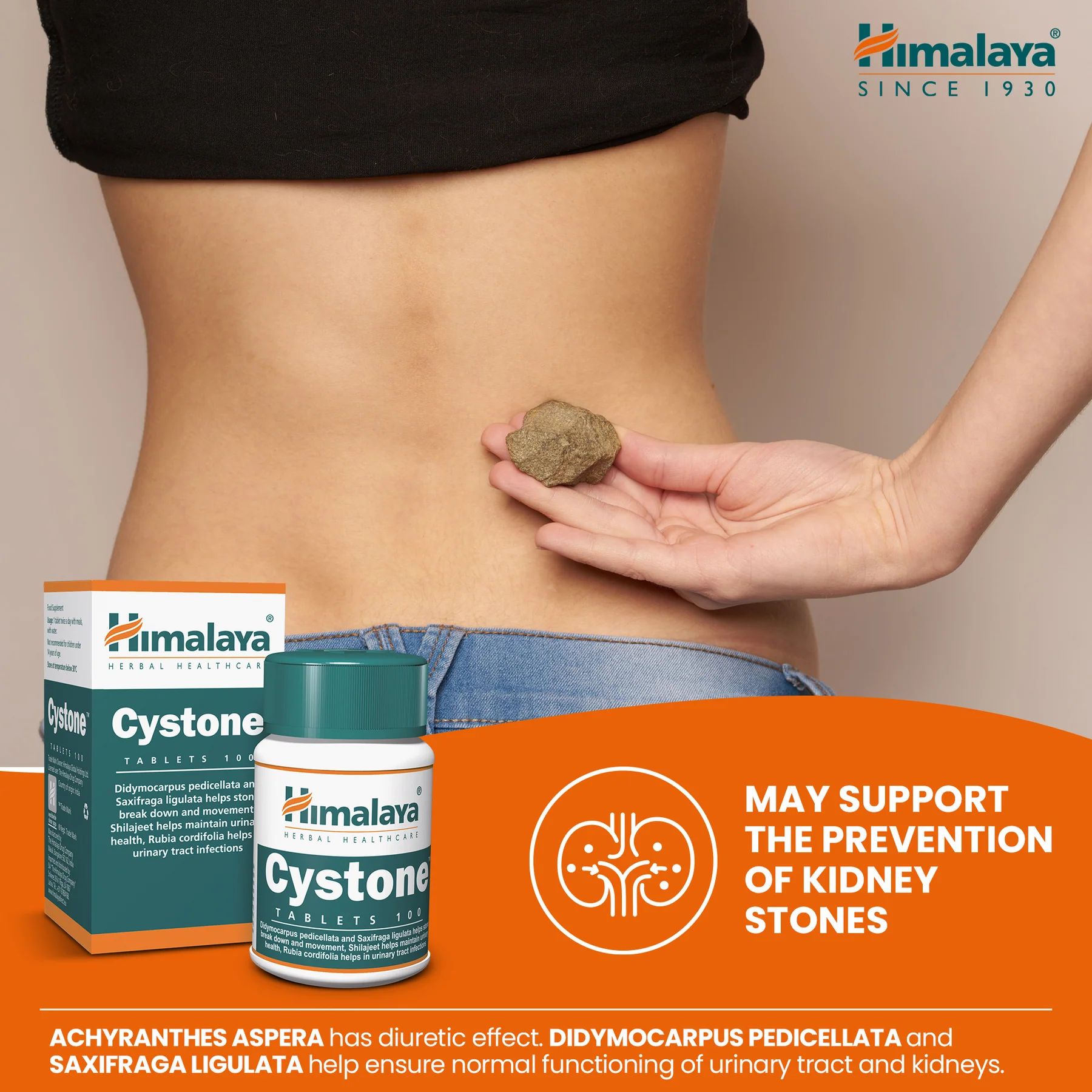 Himalaya Cystone compresse e una persona che tiene una pietra. Testo: Può supportare la prevenzione dei calcoli renali.