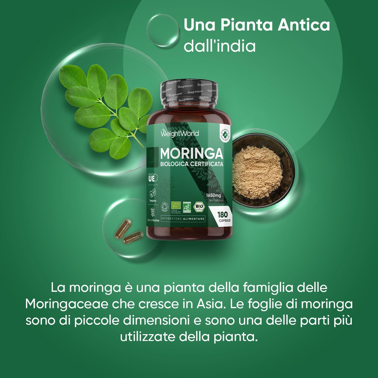 Una bottiglia di capsule di moringa bio e una ciotola di polvere. Testo: Una pianta antica dall'India. Moringa biologica certificata.