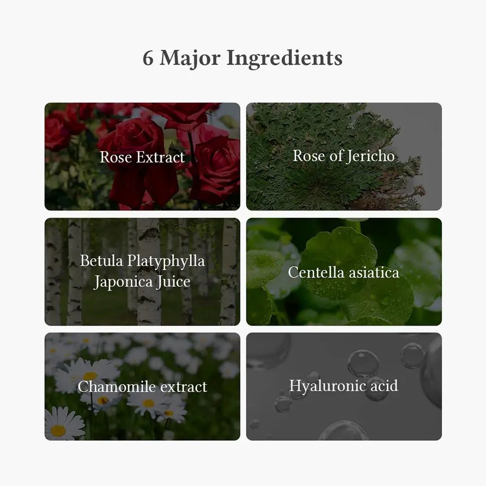 Sei ingredienti della maschera: Estratto di rosa, Rosa di Gerico, Succo di Betula Platyphylla Japonica, Centella asiatica, Estratto di camomilla, Acido ialuronico.