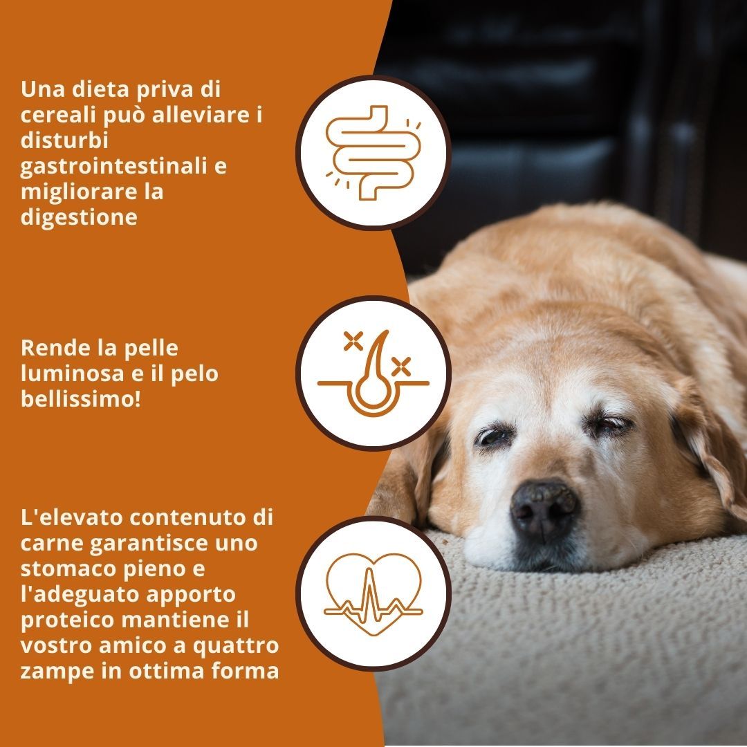 Cane sdraiato sul pavimento. Grafici mostrano i benefici: digestione, pelo, cuore. Testo: Una dieta senza cereali può alleviare i disturbi.