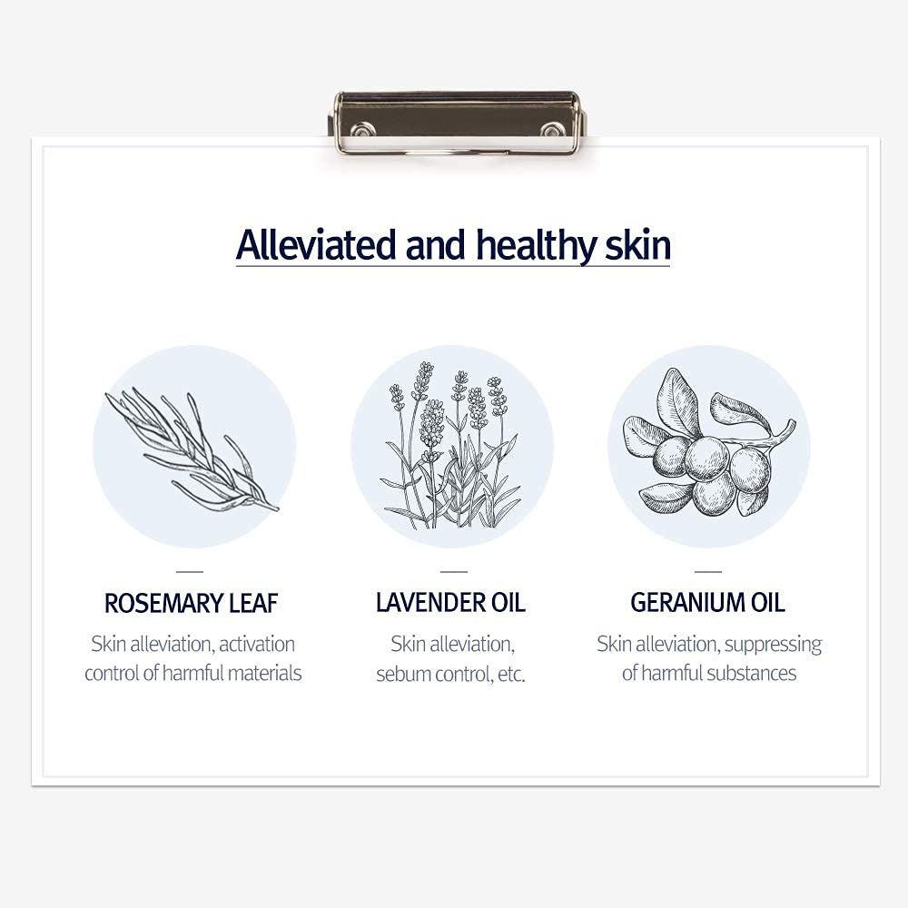 Disegno di oli: Rosmarino, lavanda, geranio. Testo su lenitivo e salute della pelle.