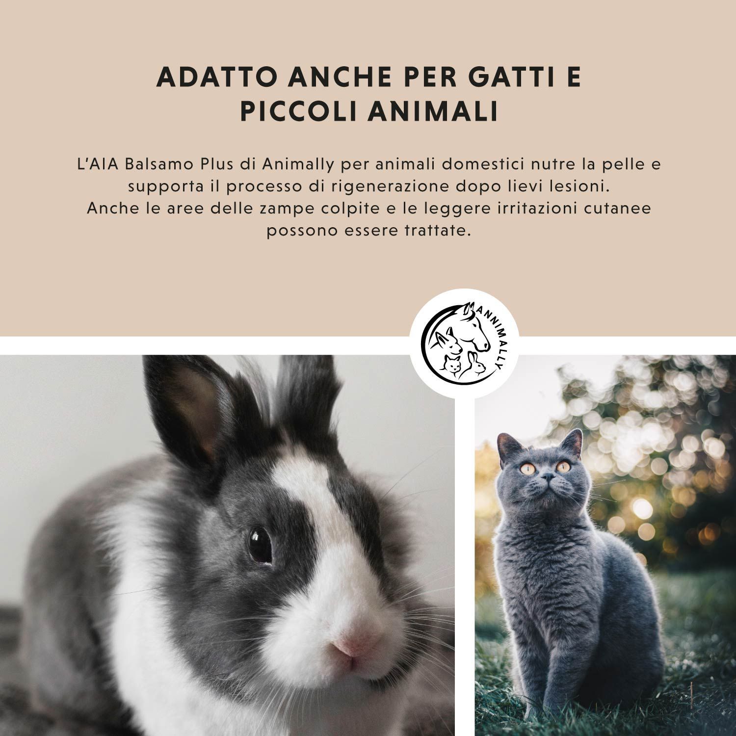 Testo su sfondo marrone: ADATTO ANCHE PER GATTI E PICCOLI ANIMALI. Coniglio e gatto.