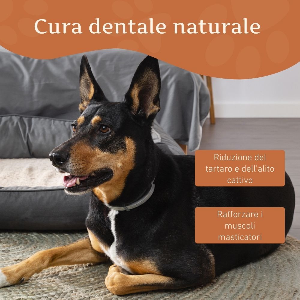 Cane sdraiato su un tappeto. Testo: Cura dentale naturale. Riduzione del tartaro e dell'alito cattivo. Rafforzare i muscoli masticatori.