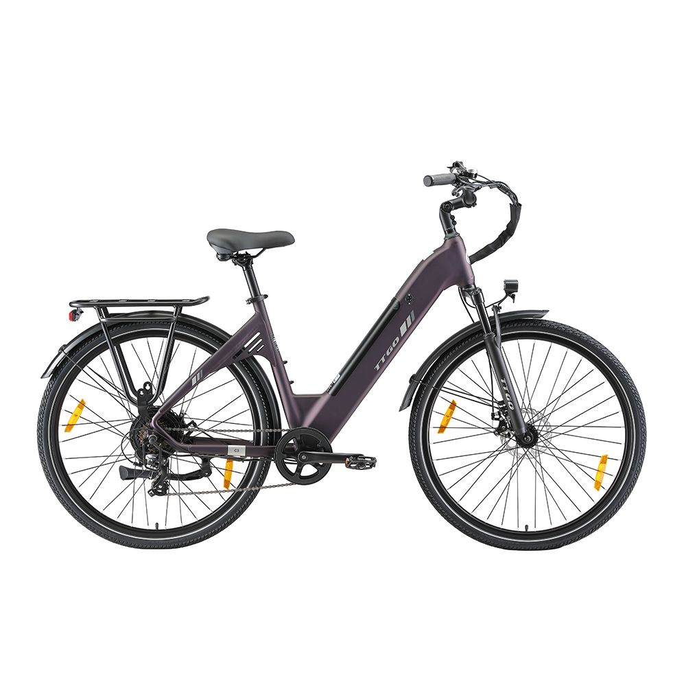 Bicicletta elettrica viola scuro con portapacchi, parafanghi e luci. Pneumatici e sella neri. Logo TTGO.