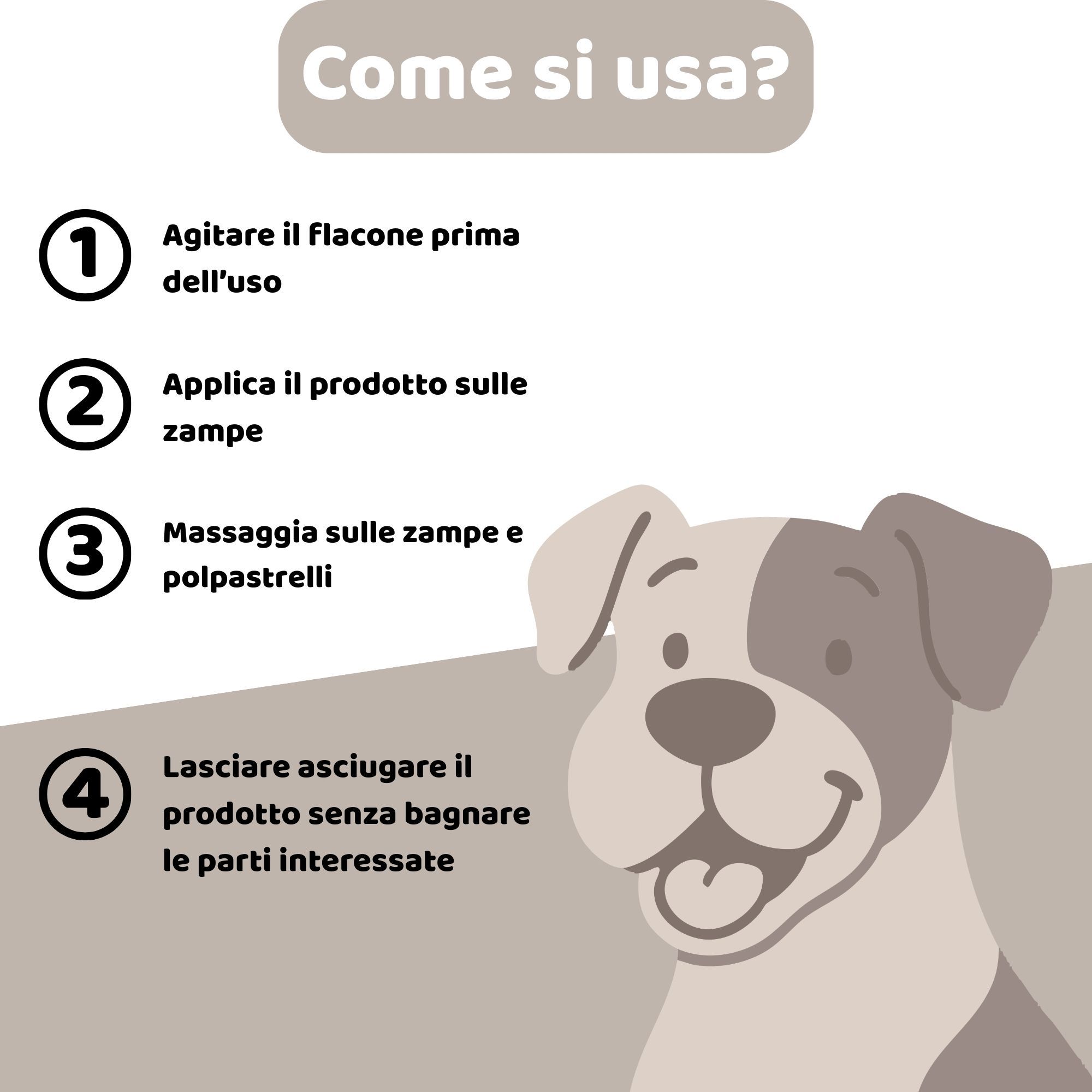 Istruzioni: 4 passaggi. Agitare, Applicare, Massaggiare, Lasciare asciugare. Illustrazione di un cane.