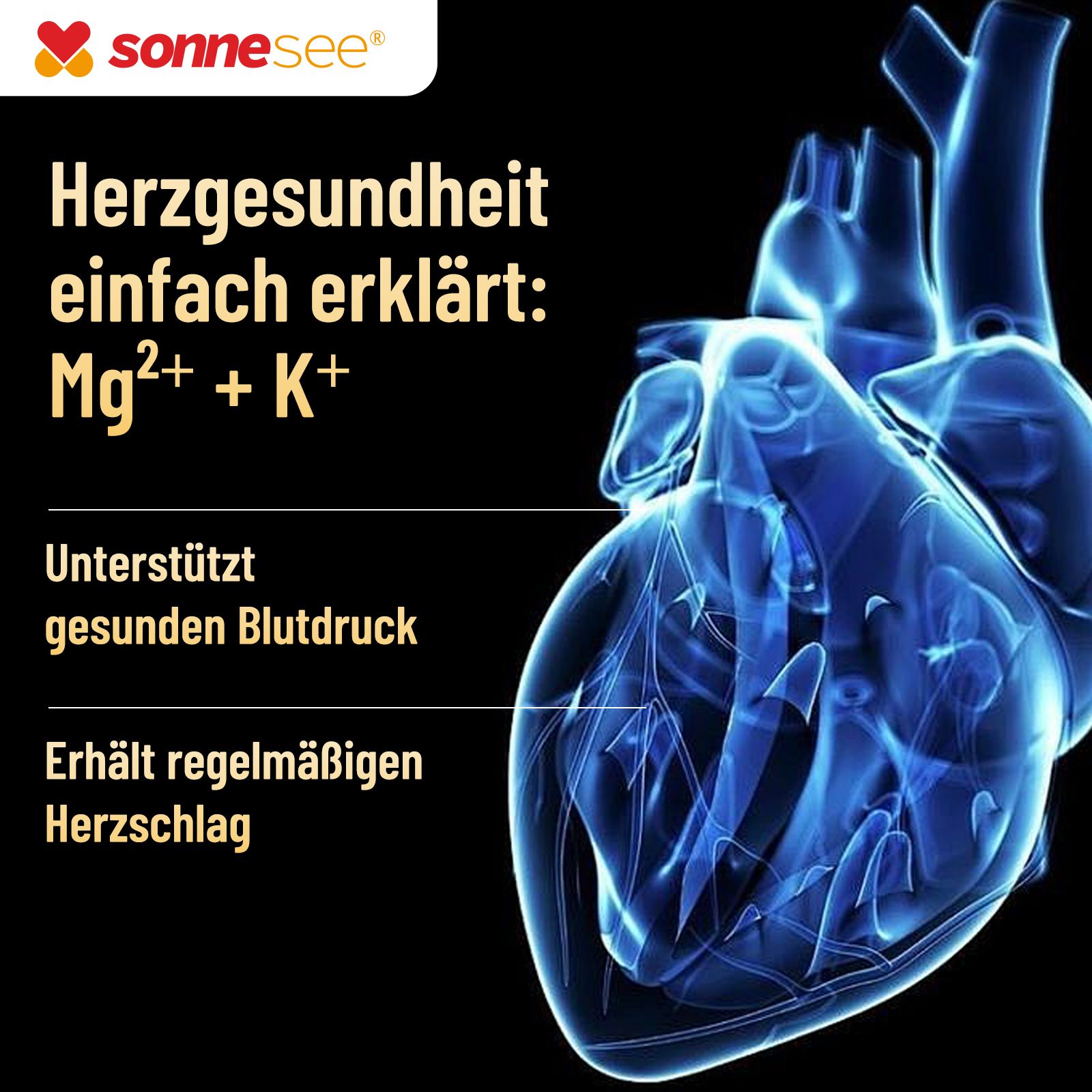 Illustrazione di un cuore umano con testo sulla salute del cuore, Mg2+ e K+.