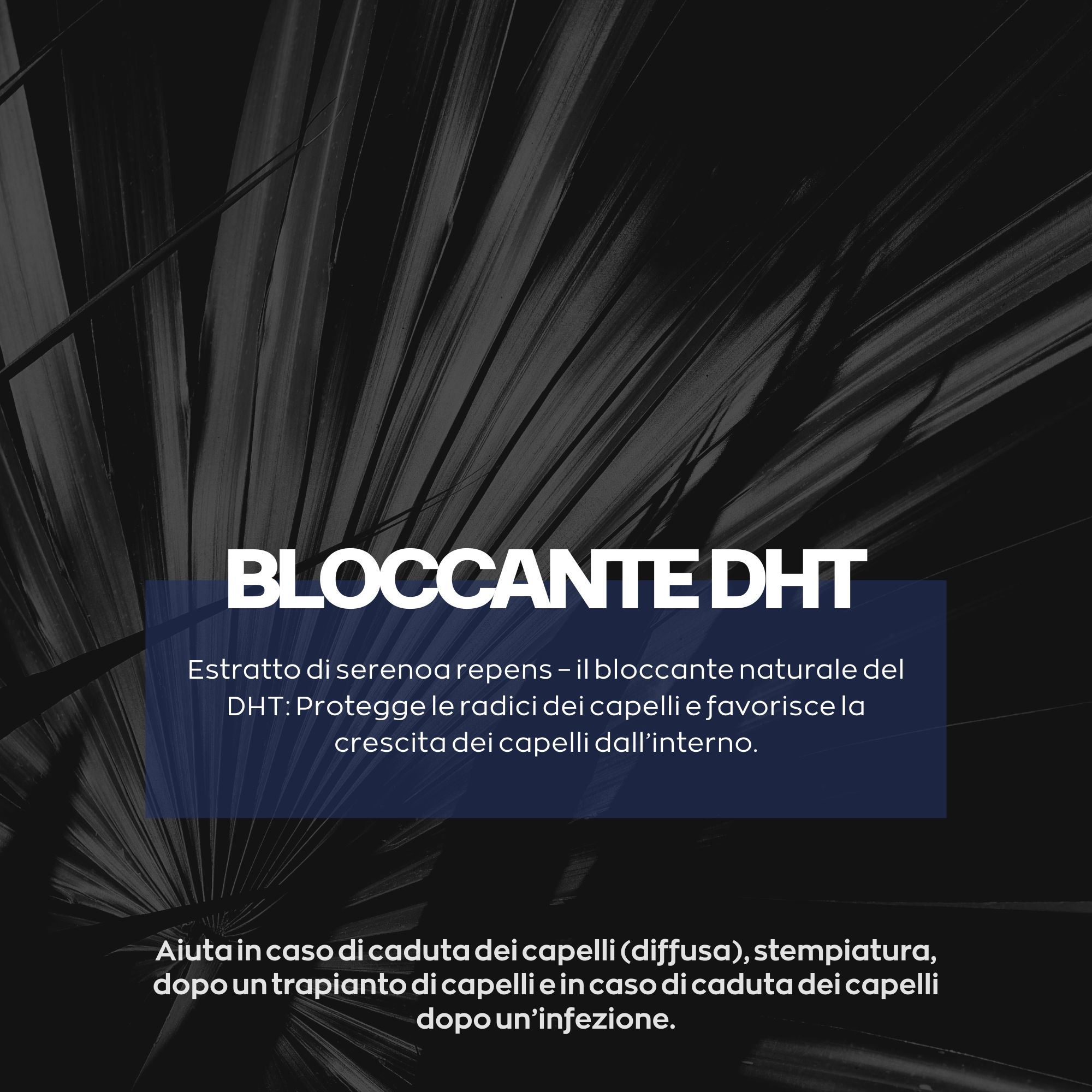 Compresse Xpecia: 1 confezione = 1 mese di scorta. Assunzione giornaliera: 2x1 compressa.