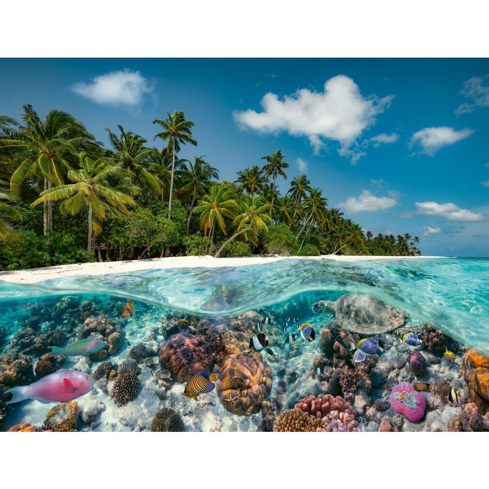 Puzzle Un'immersione alle Maldive (2000 pezzi)
