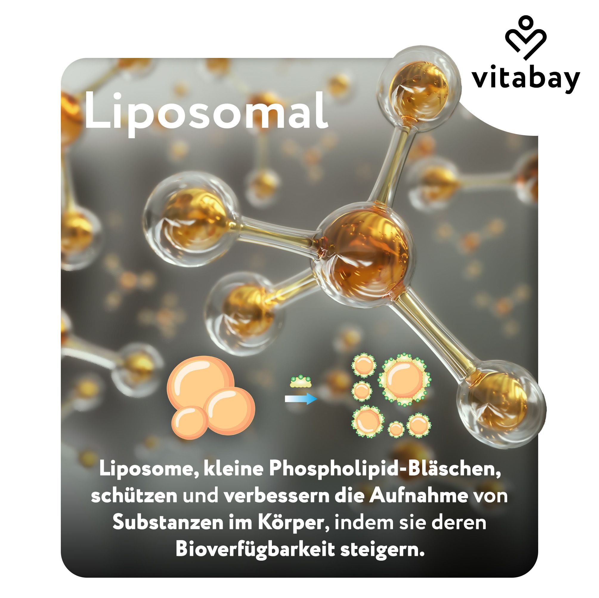 Immagine di liposomi. Testo: Liposomiale. Piccole vescicole fosfolipidiche proteggono e migliorano l'assorbimento delle sostanze nel corpo.