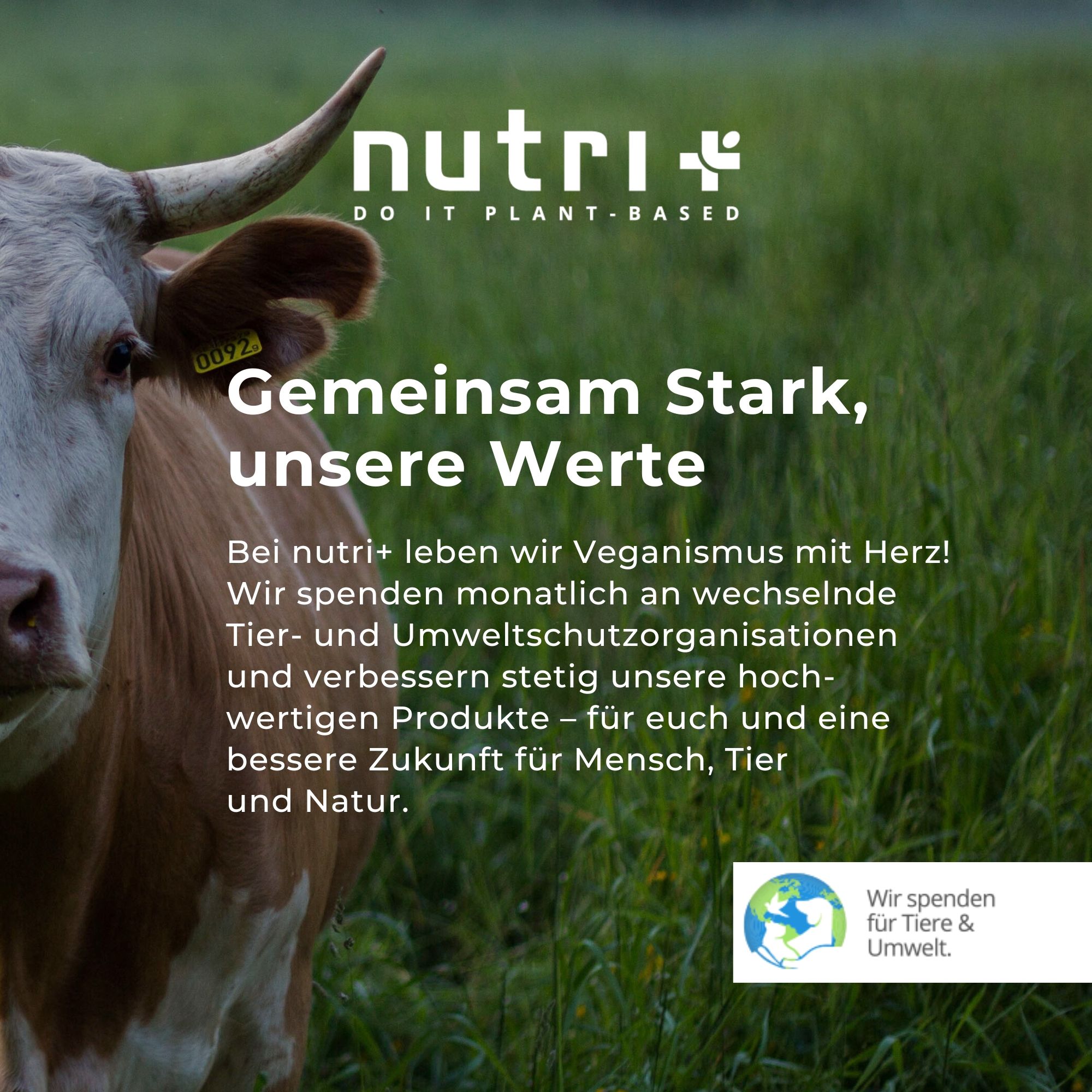 nutri+ Box di Campioni di Proteine Vegane 6K