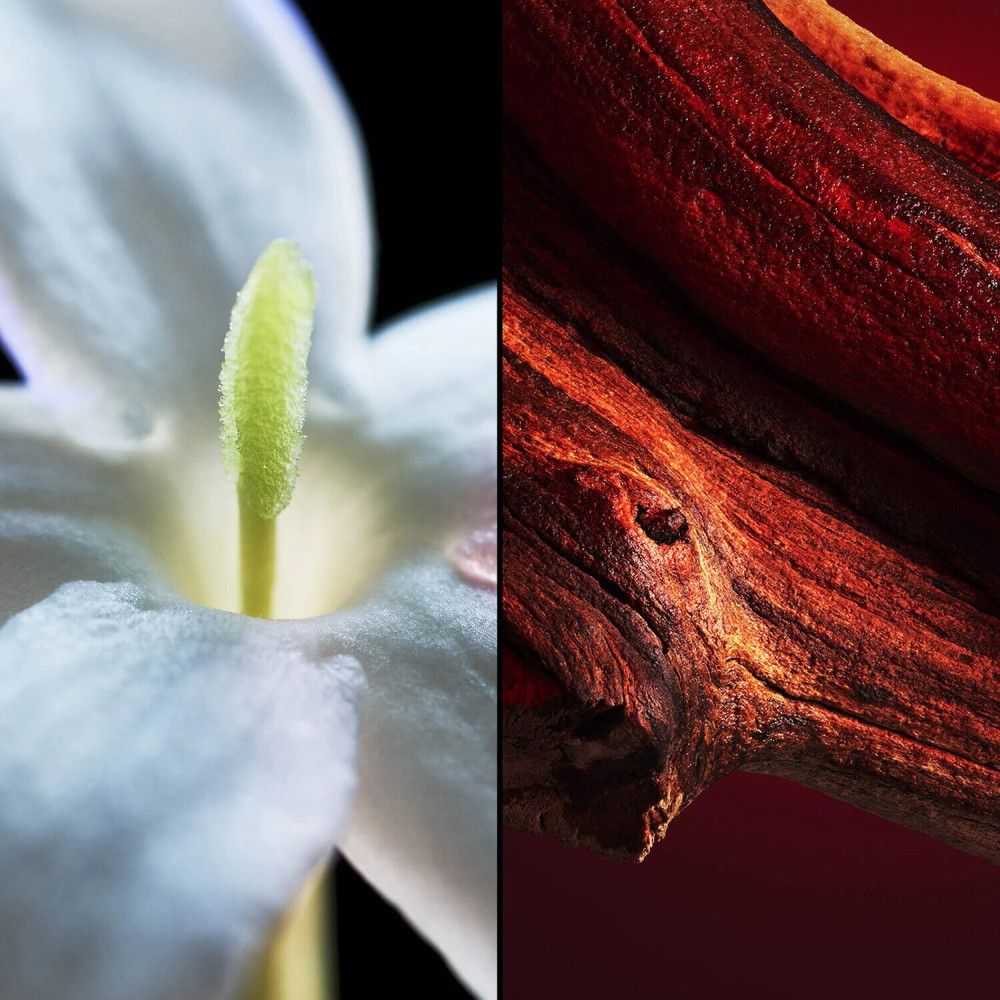 Immagine divisa in due. A sinistra: fiore bianco. A destra: legno rosso. Entrambi su sfondo scuro.