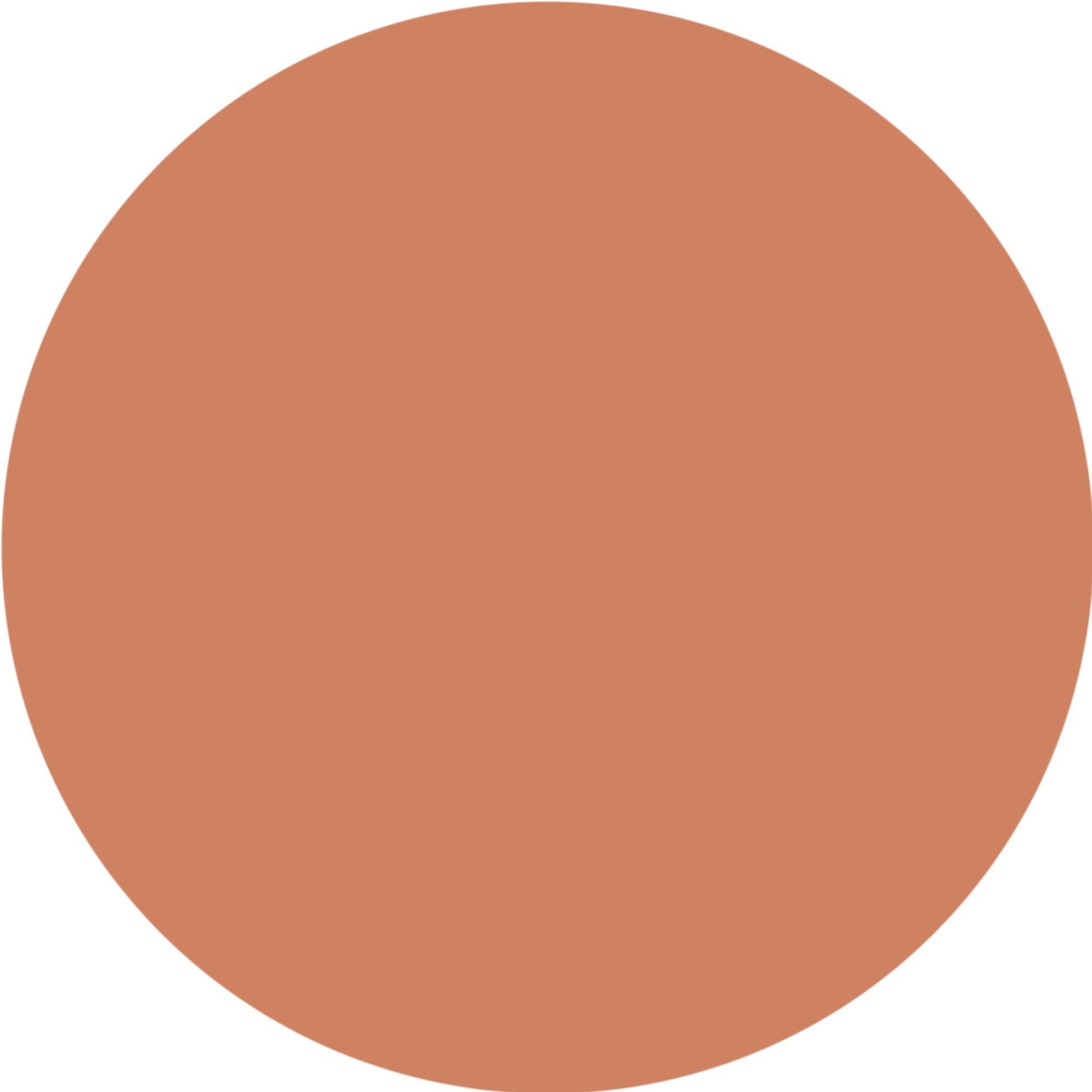 WYCON cosmetics radiant stick concealer 16 cocoa