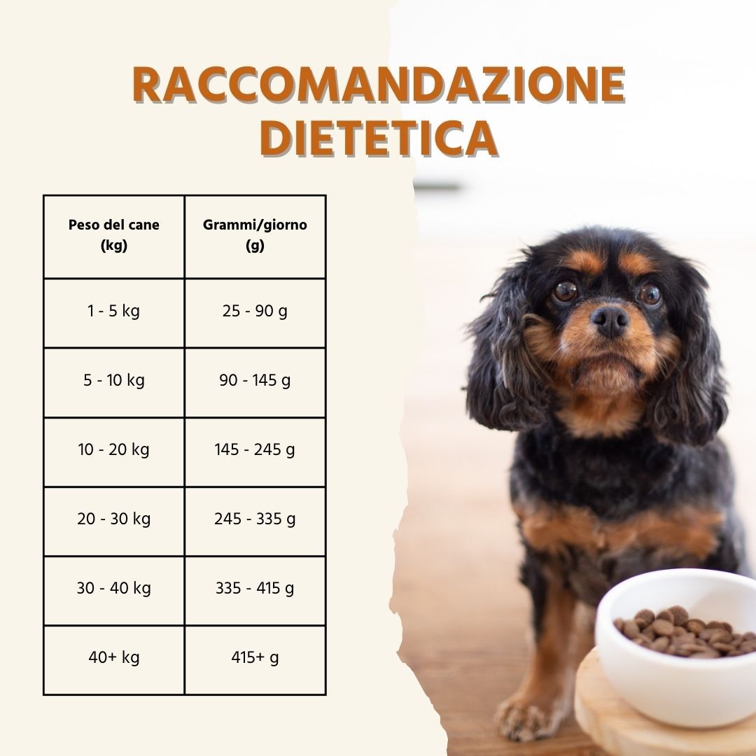 Tabella delle raccomandazioni alimentari. Peso del cane (kg) e grammi/giorno (g). Cane con cibo in una ciotola.