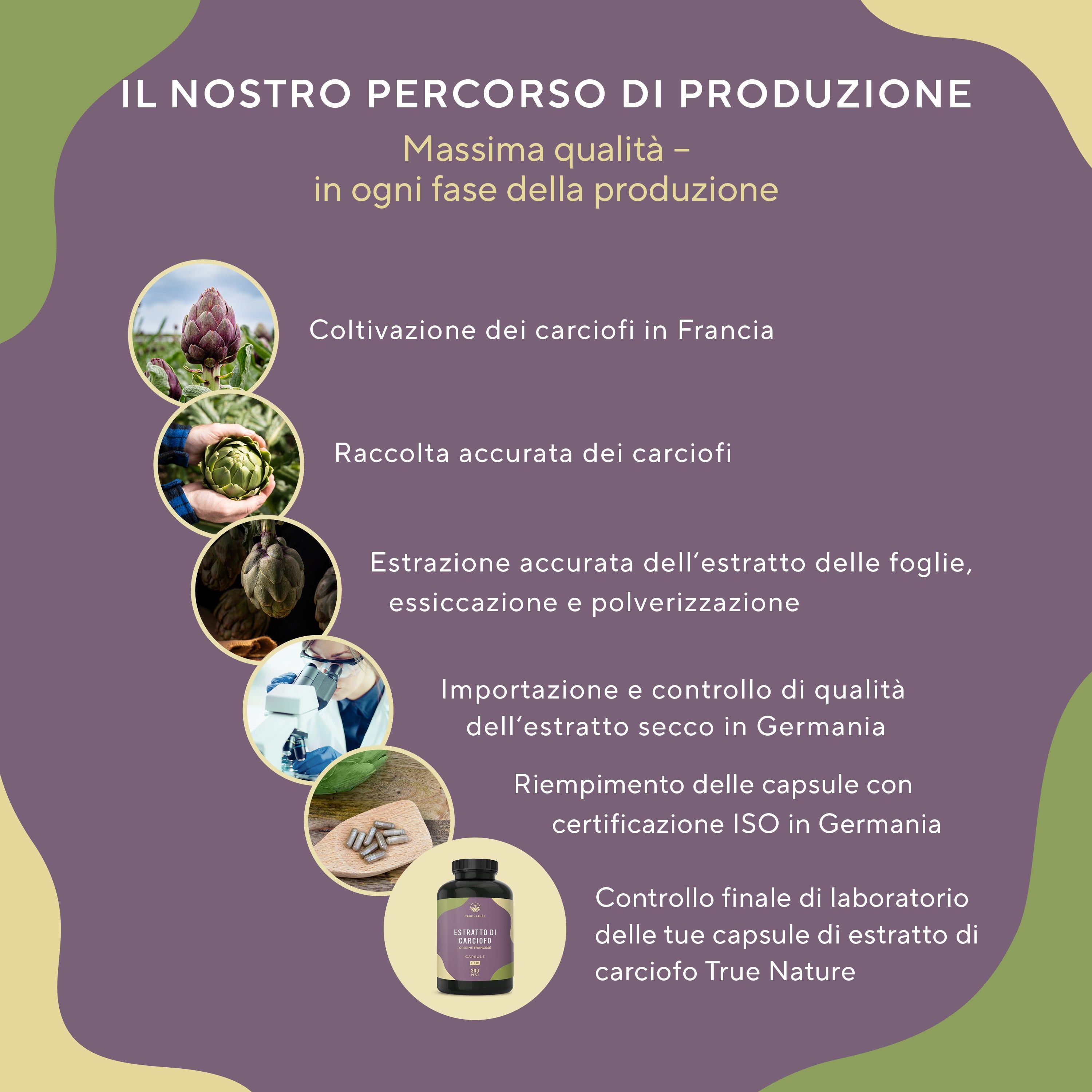 Grafico con fasi di produzione. Testo: Coltivazione, raccolta, estrazione, essiccazione, controllo qualità, riempimento.