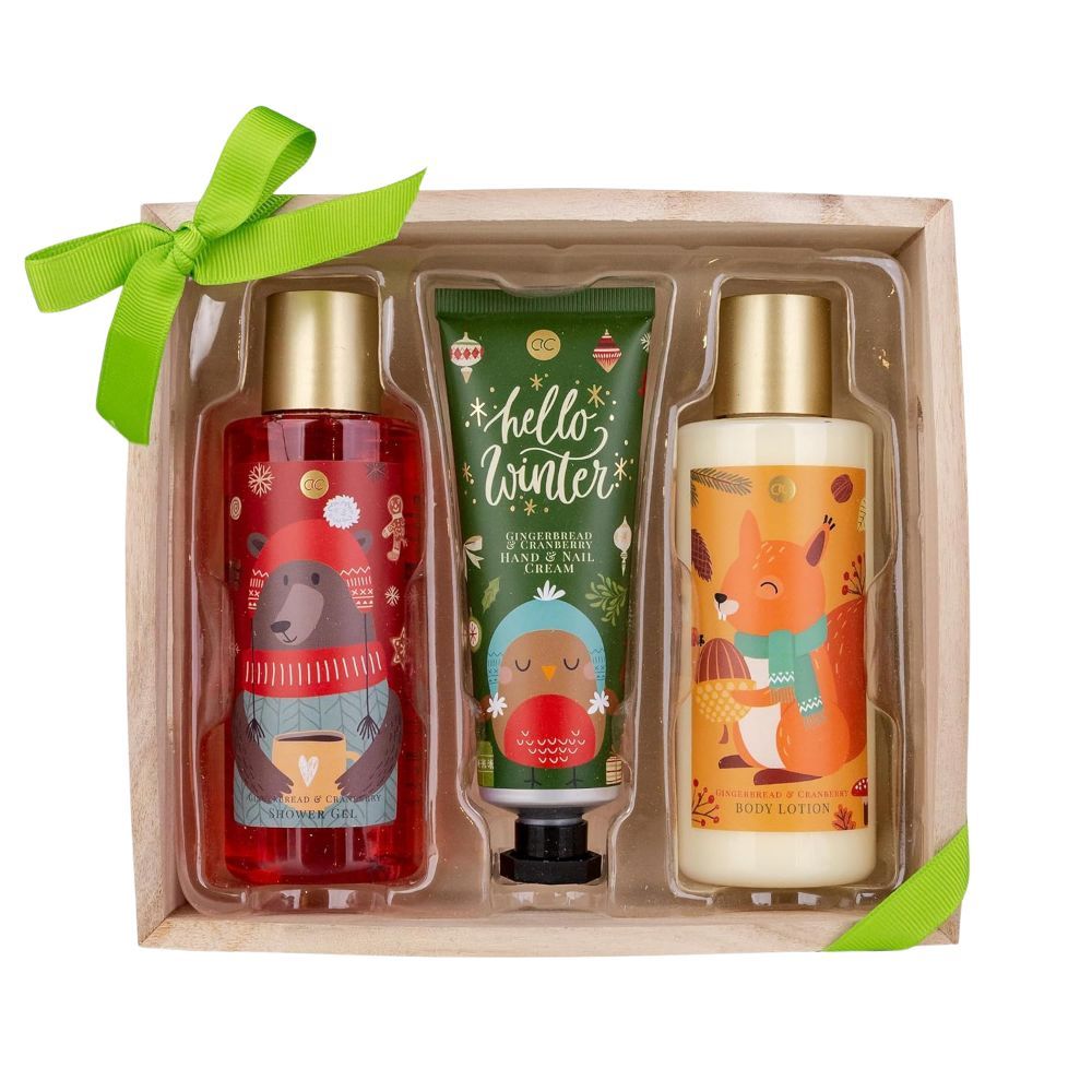 Accentra Set da Bagno Hello Winter con gel doccia, lozione corpo e crema mani & unghie