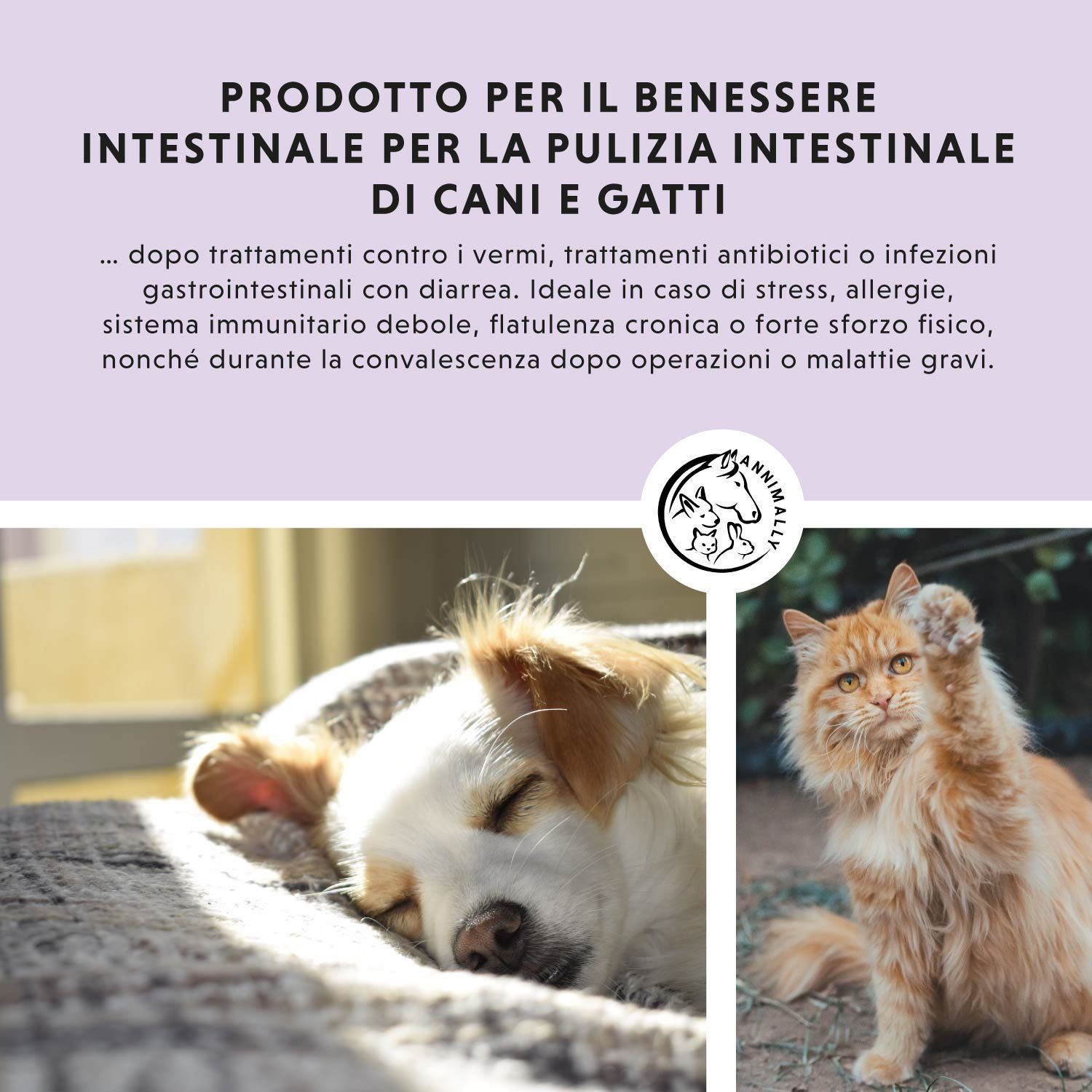 Testo con scritta: Prodotto per il benessere intestinale per cani e gatti. Logo con cane, coniglio e cavallo. Cani e gatti.