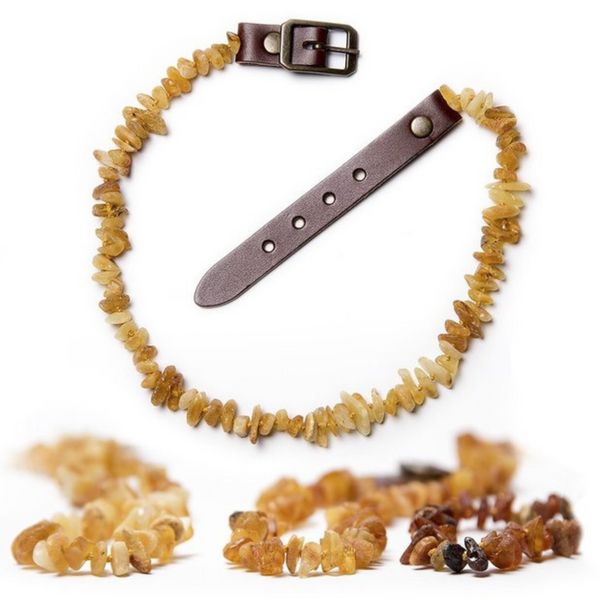 Collana in ambra naturale ChronoBalance per cani