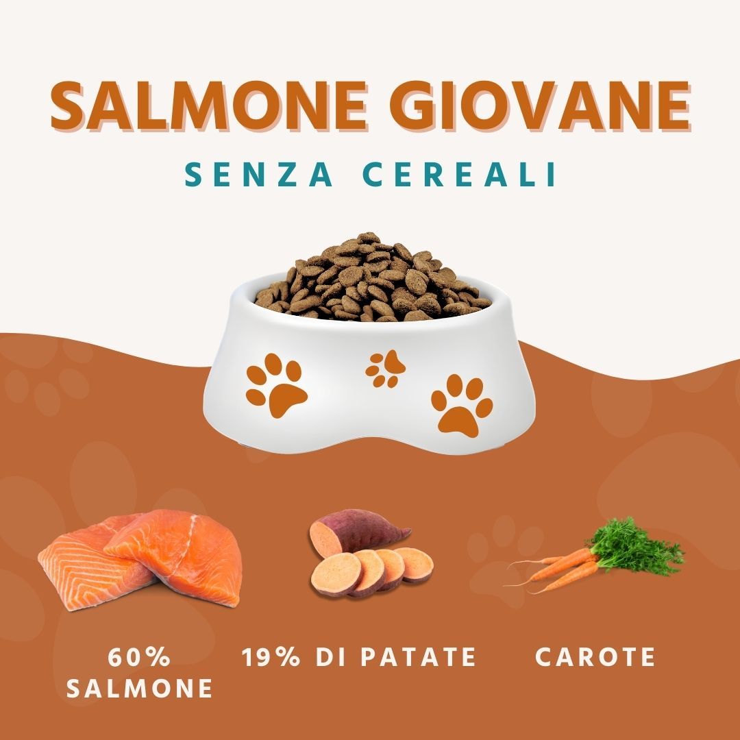 Wildfang - Junior Gourmet Box - Cibo secco e umido