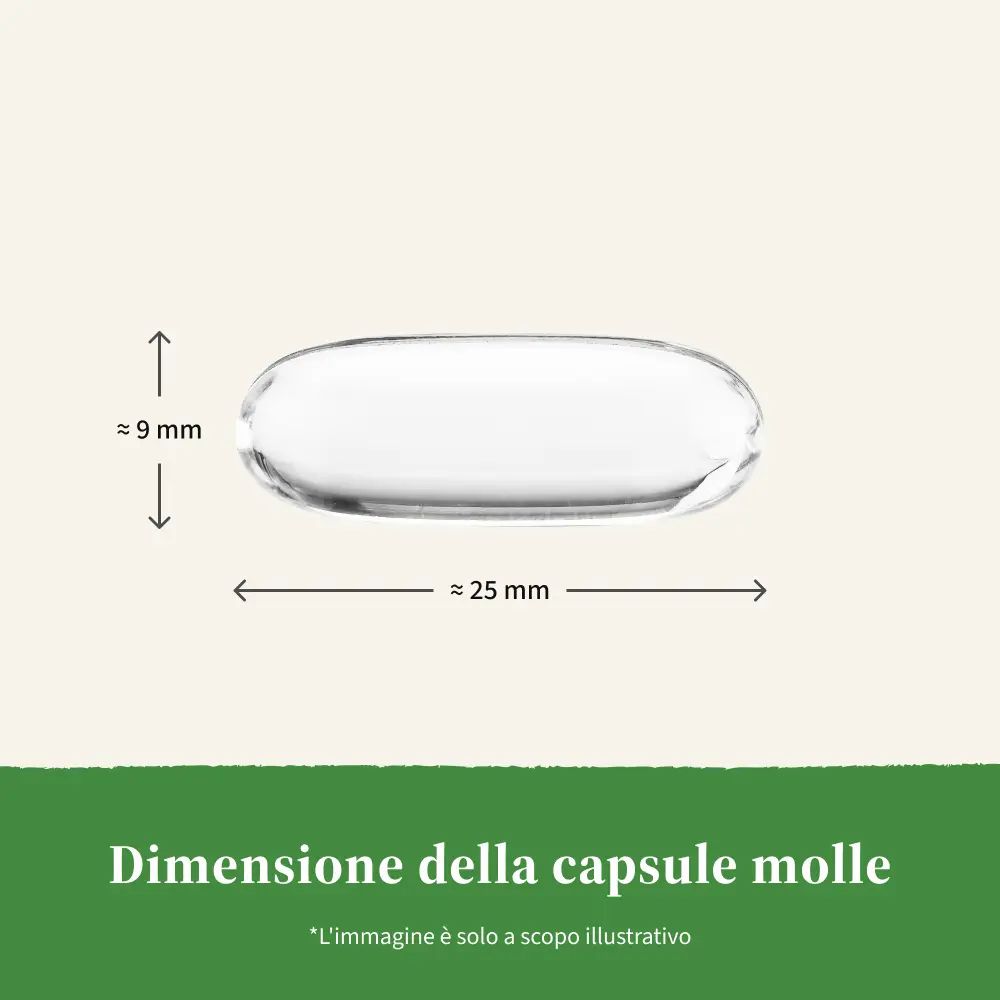 Capsula molle, circa 25 mm di lunghezza, 9 mm di larghezza. Testo: Dimensione della capsula. L'immagine è solo illustrativa.