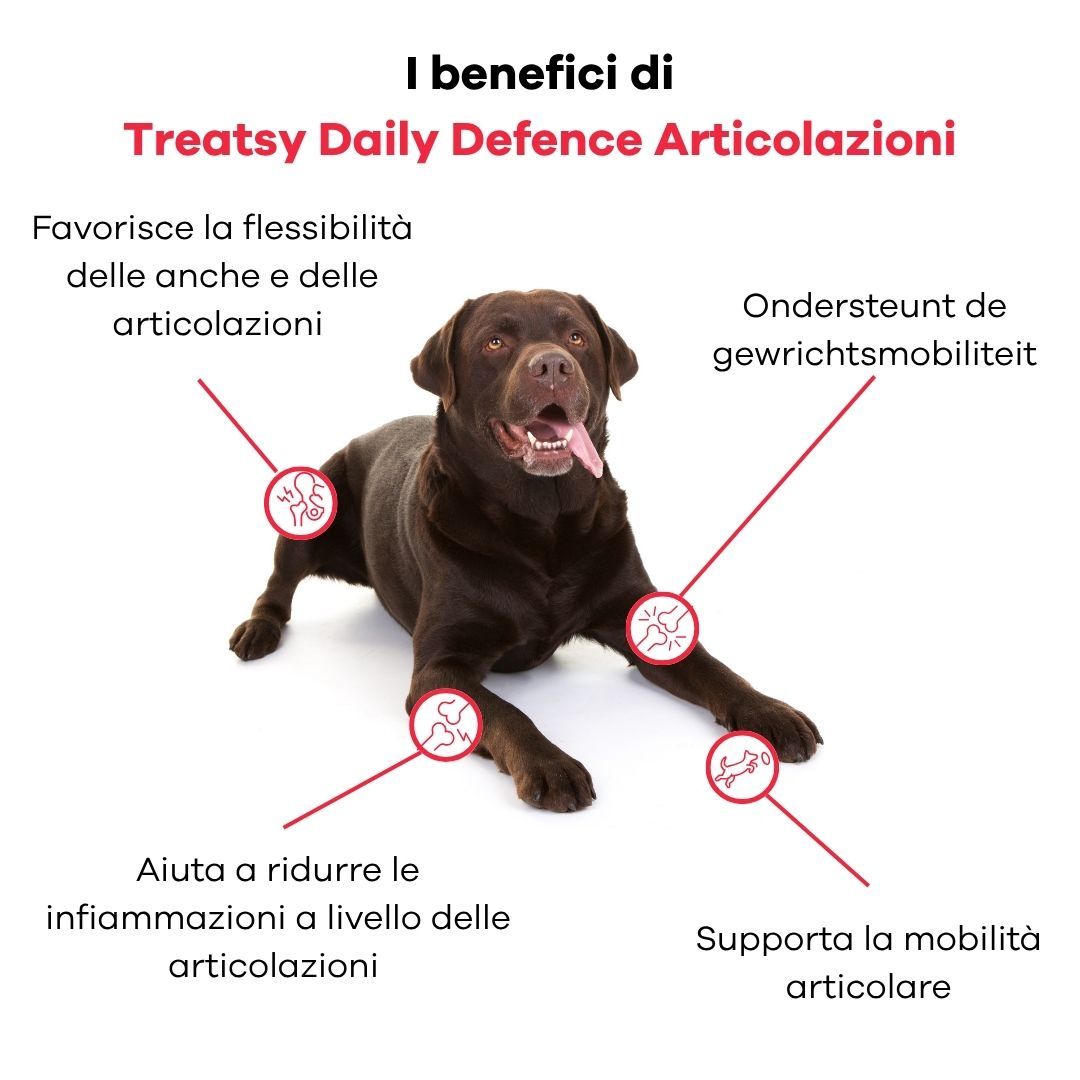 Cane marrone con illustrazioni che evidenziano la salute delle articolazioni.